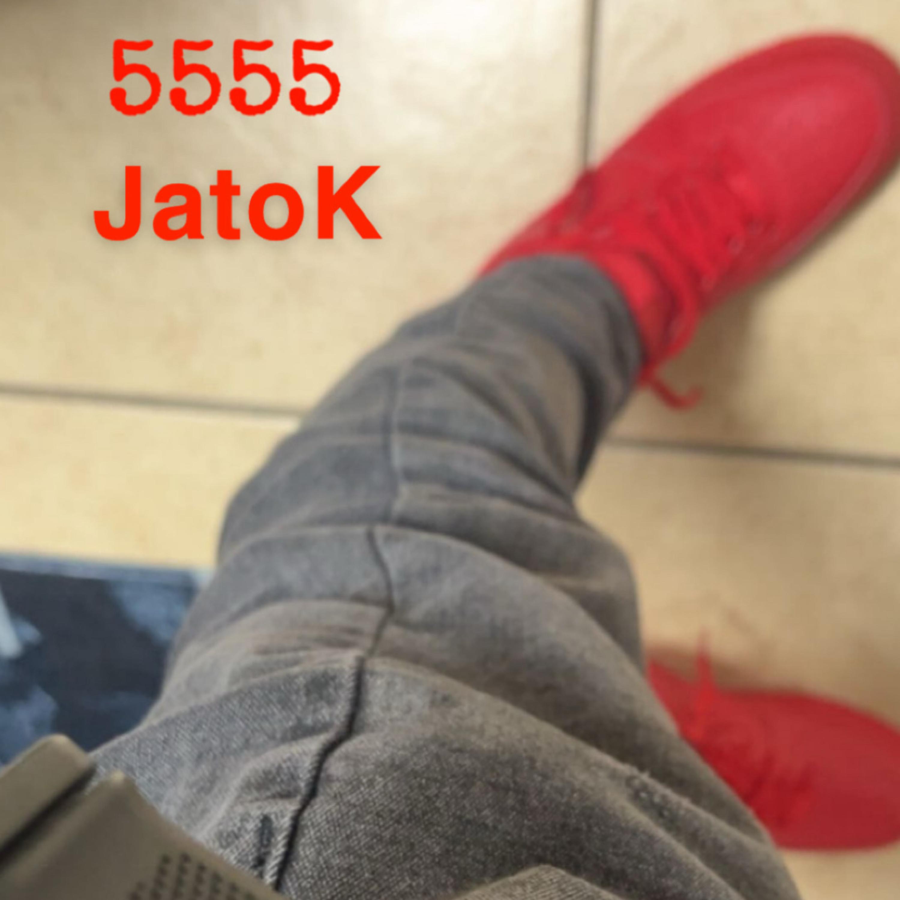 5555 artwork