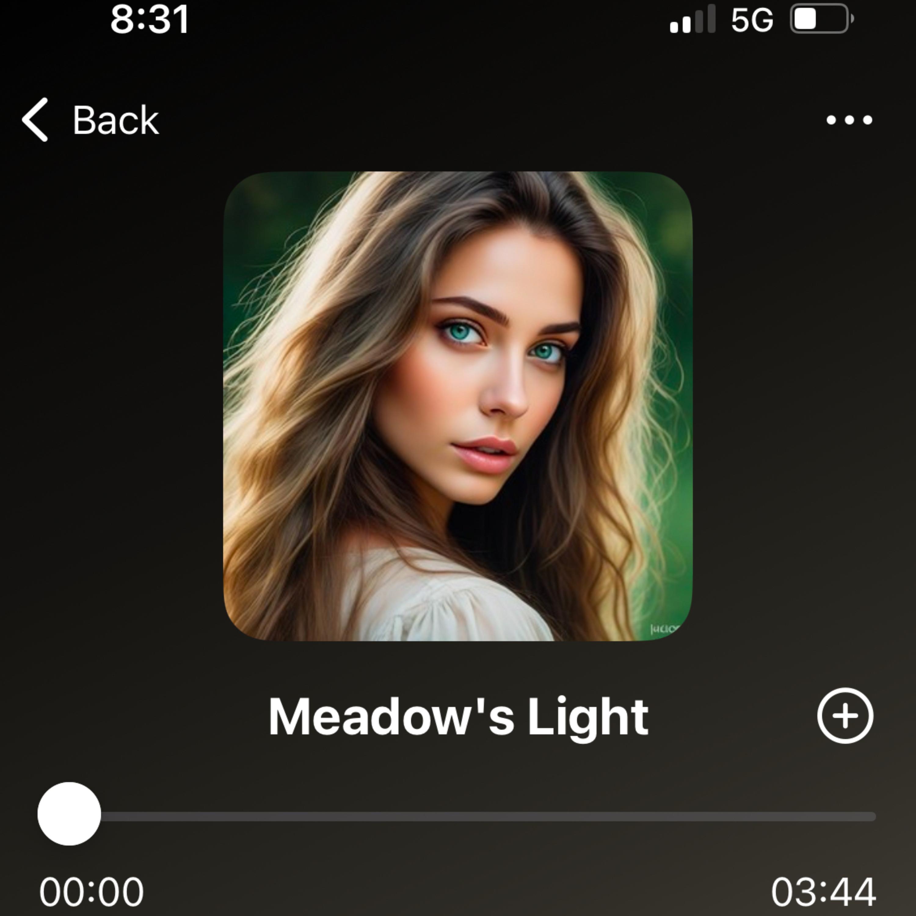 Meadow’s Light artwork
