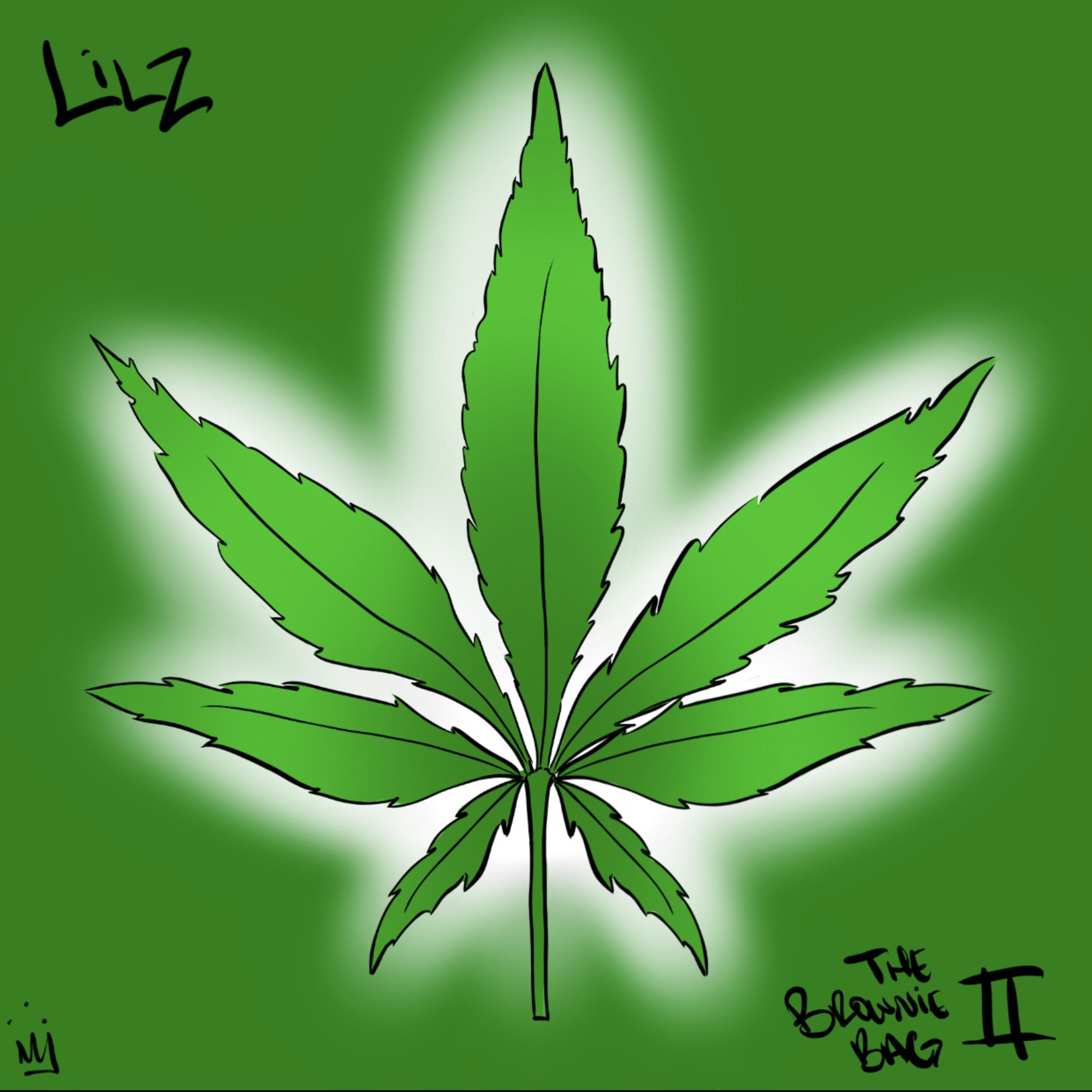 Brownie Bag 2 artwork