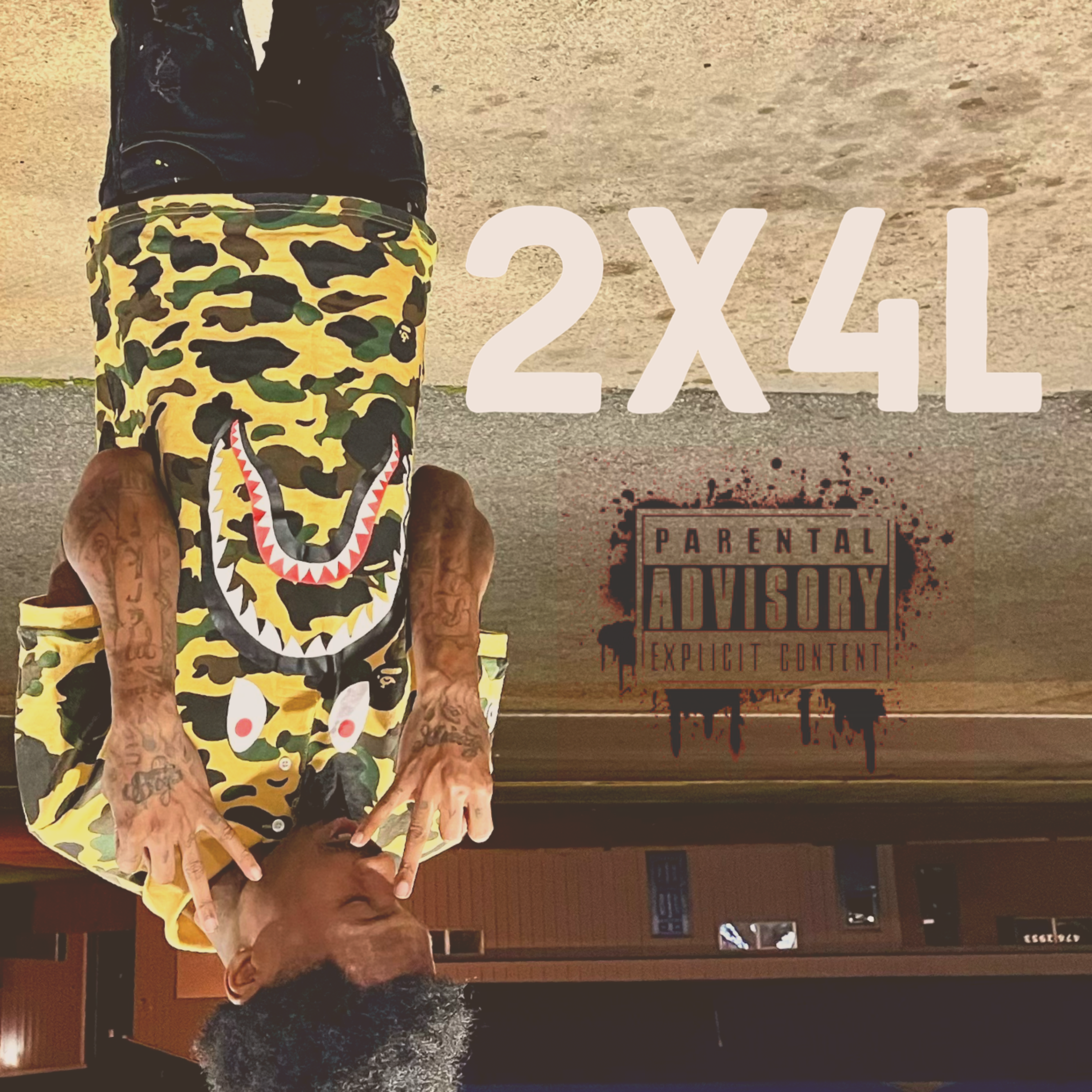 2X4L artwork
