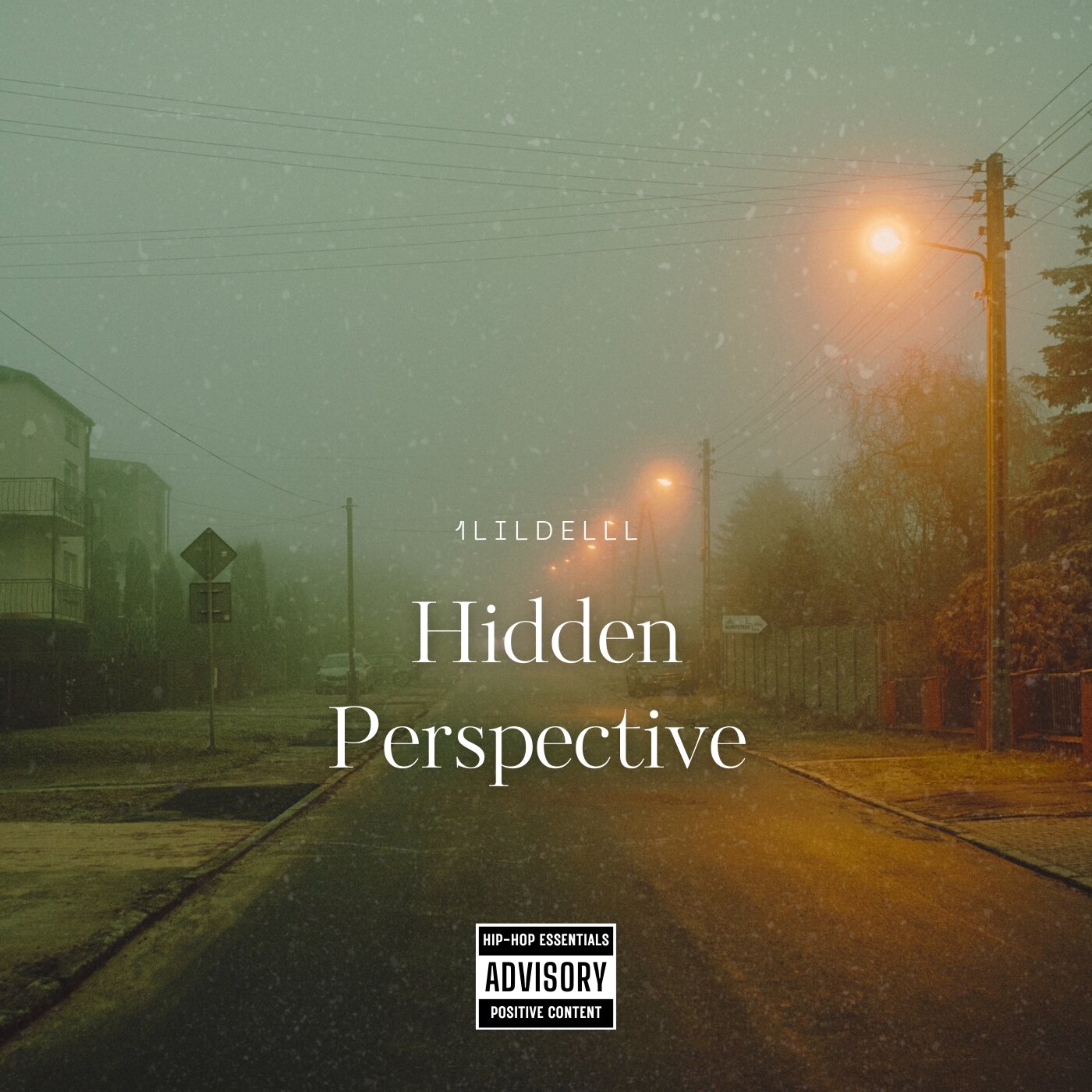 Hidden Perspective (Remix) artwork