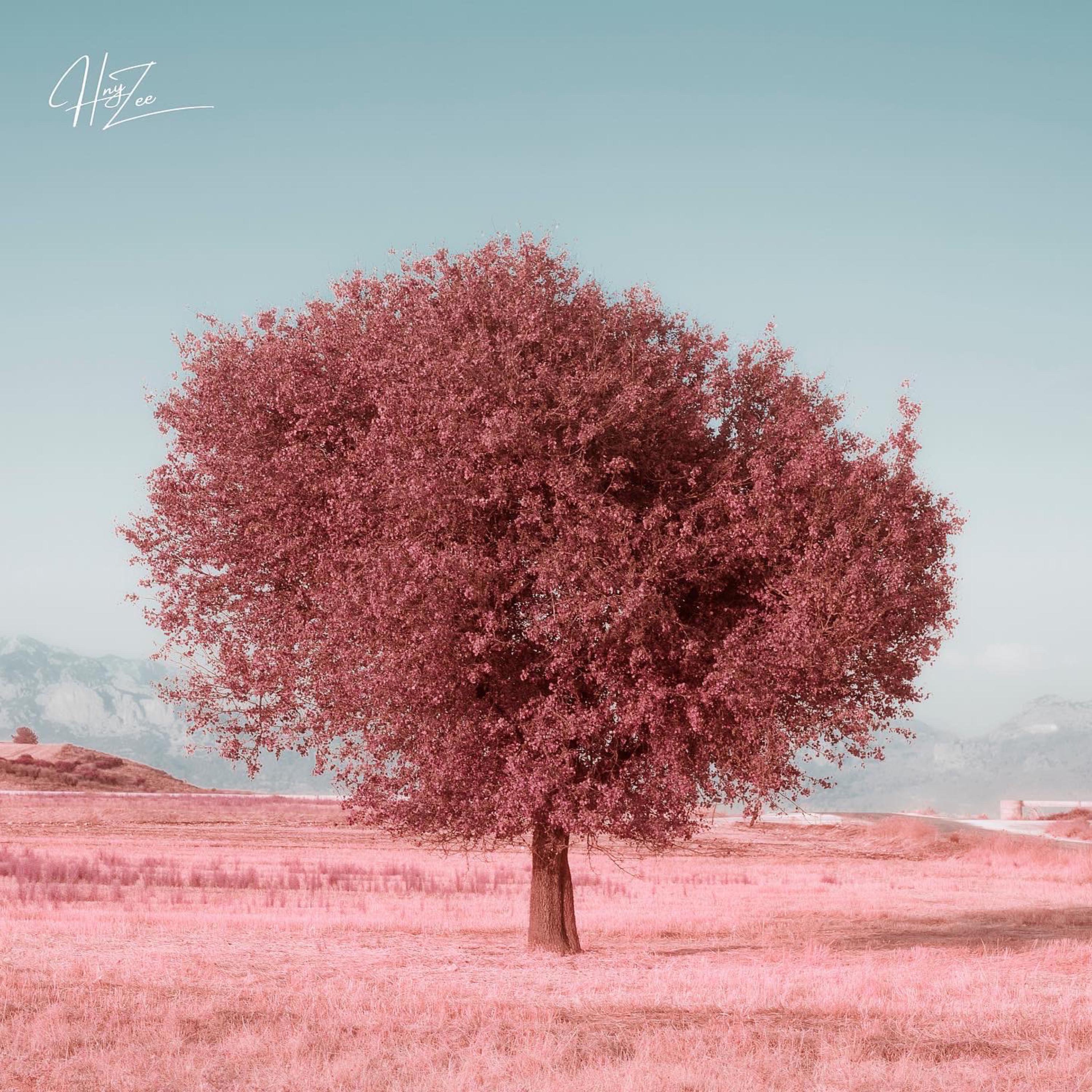 Breeze. artwork