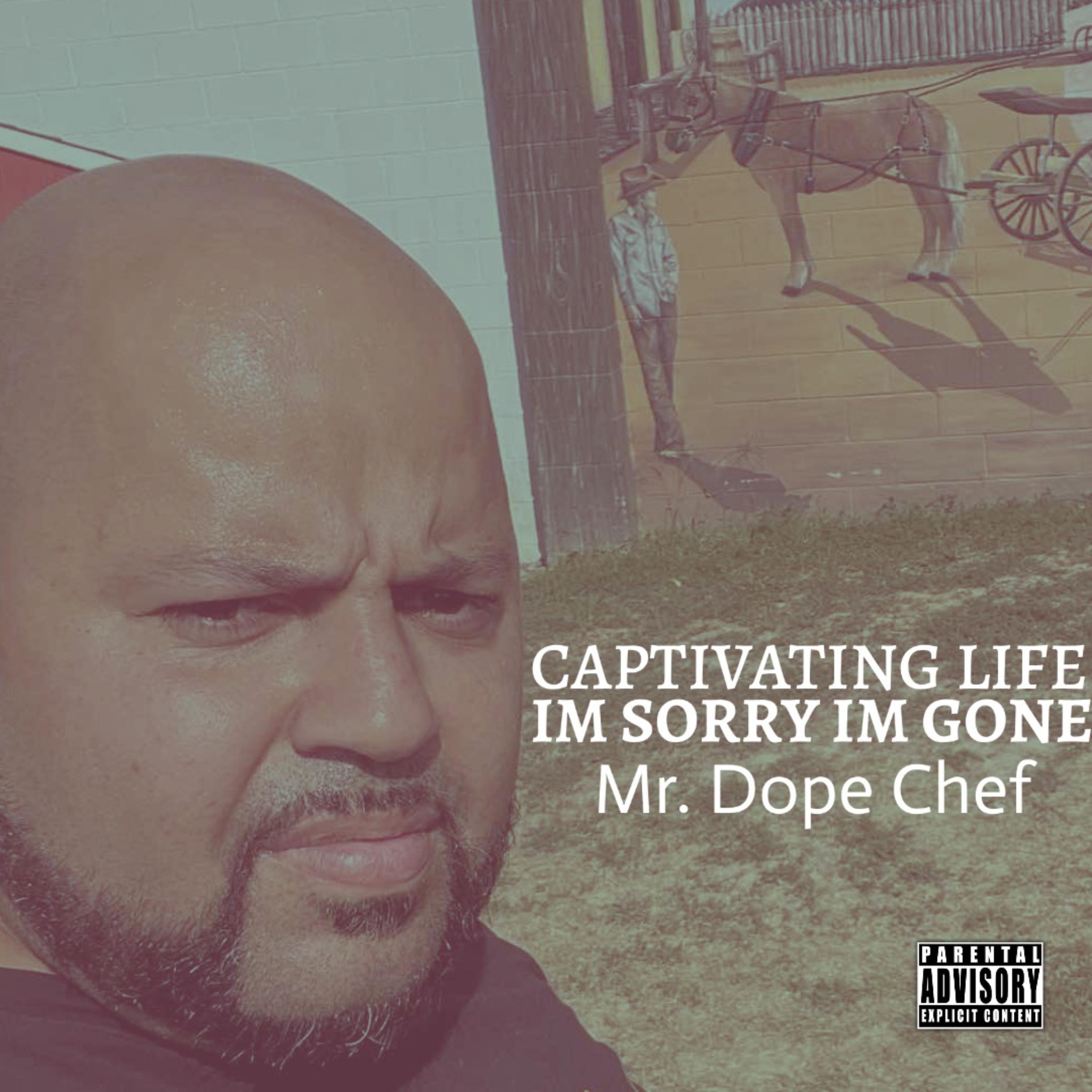 Captivating Life Im Sorry Im Gone artwork