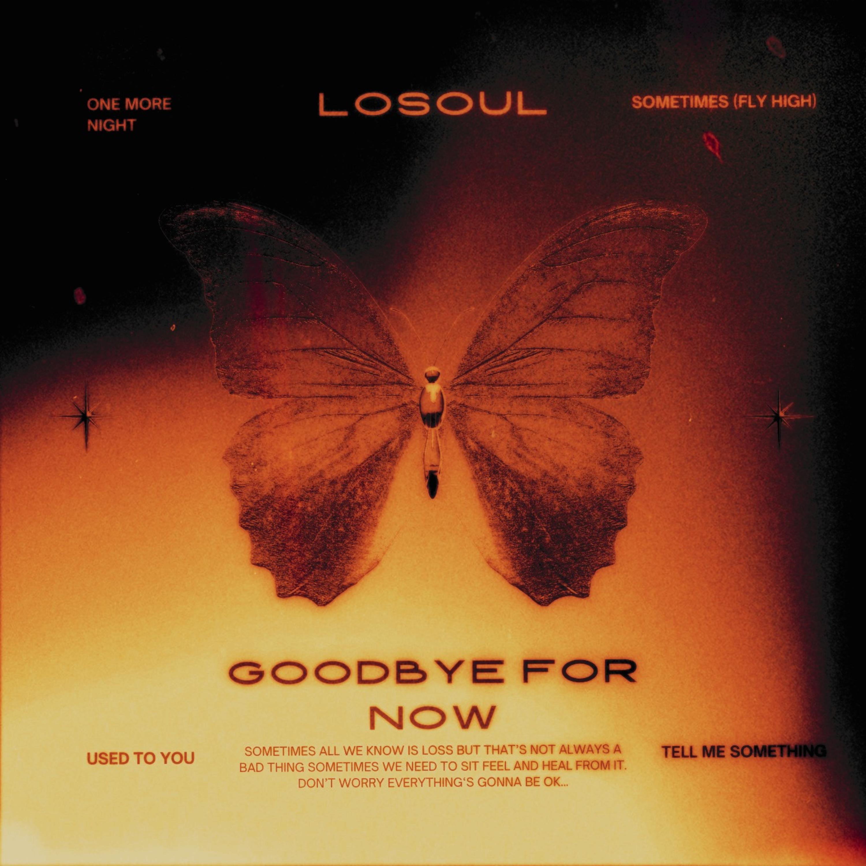 Goodbye For Now artwork