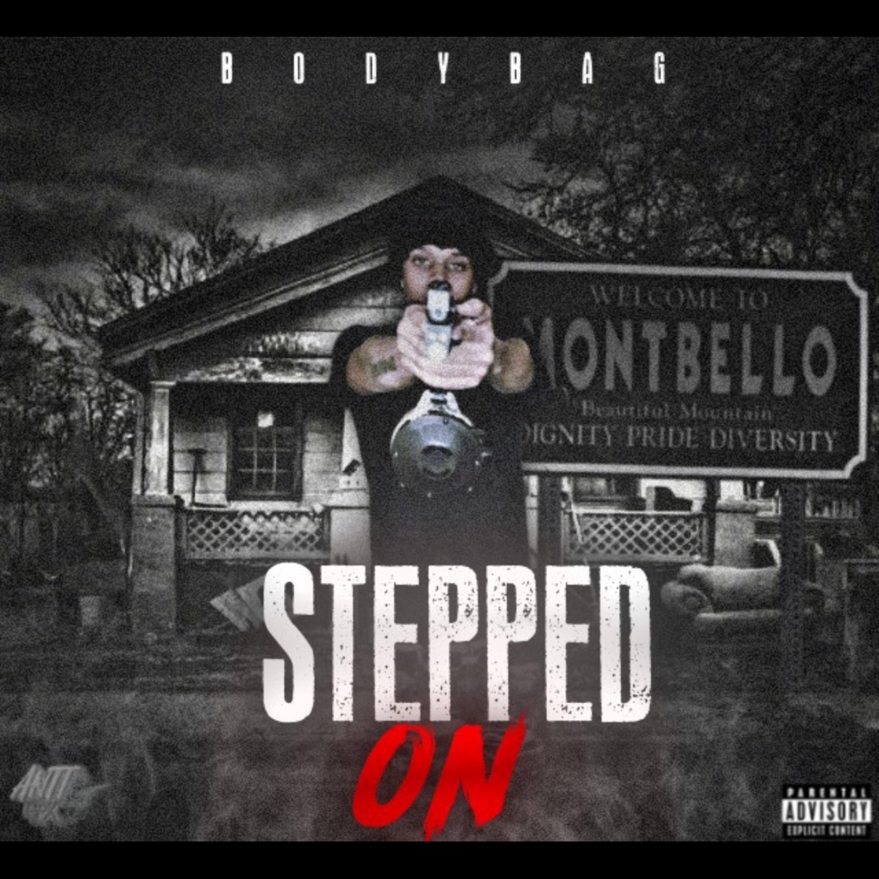 Stepped On artwork