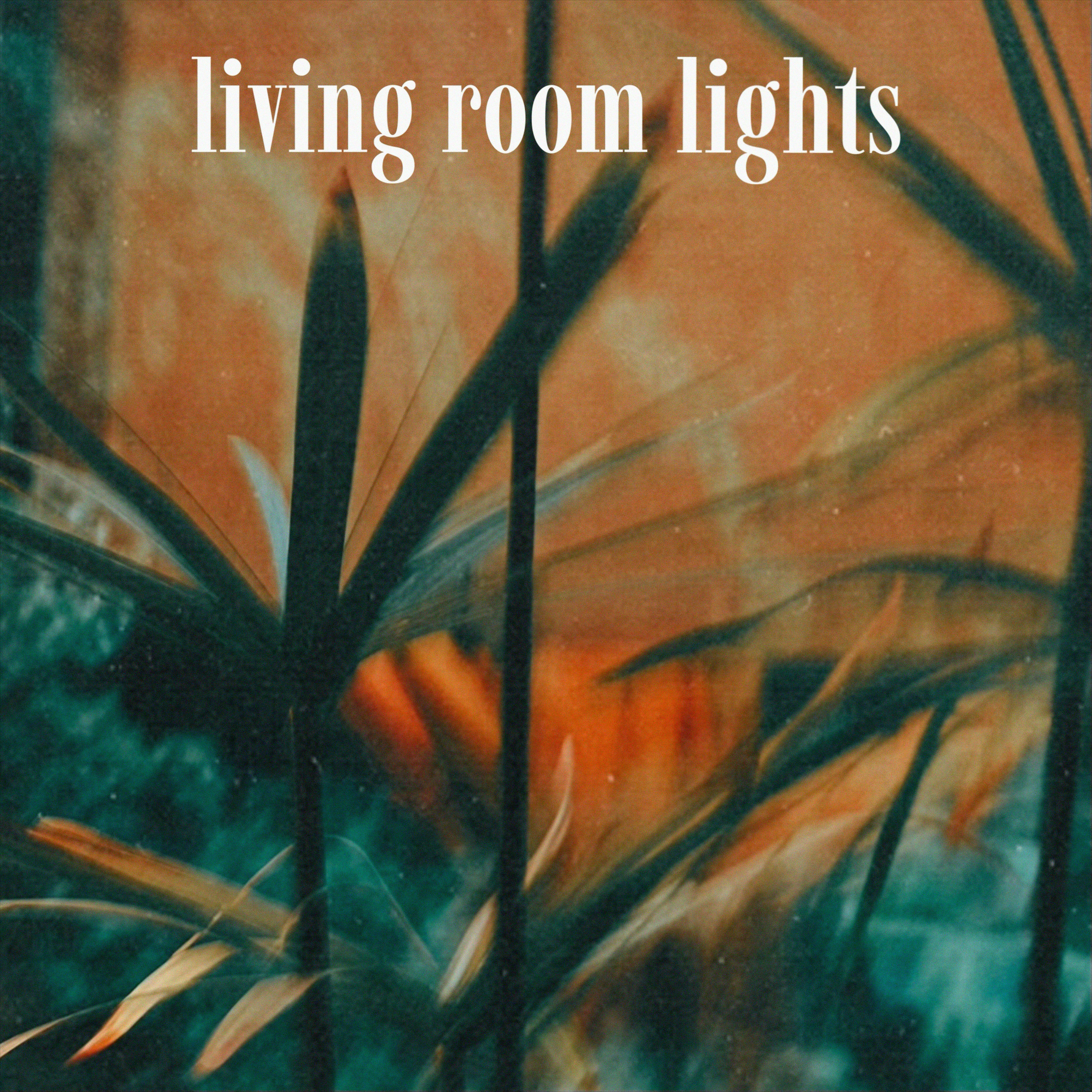 Living Room Lights by Lonely Parrots cover art