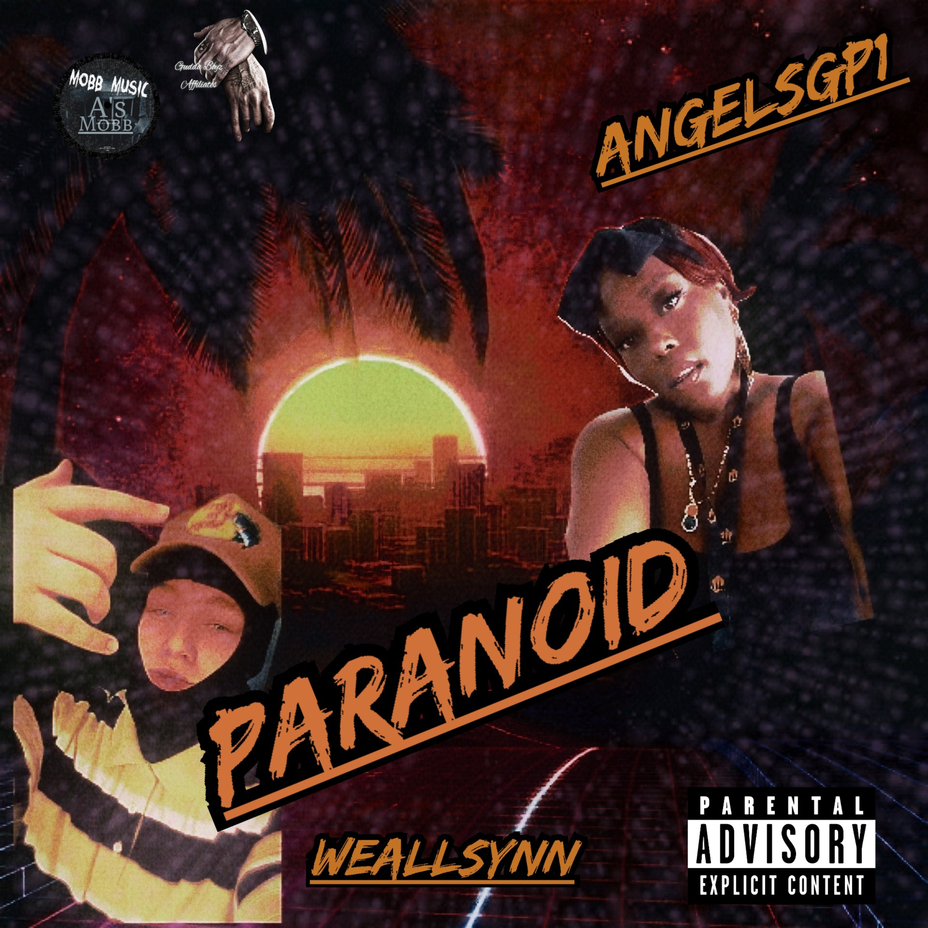PARANOID artwork
