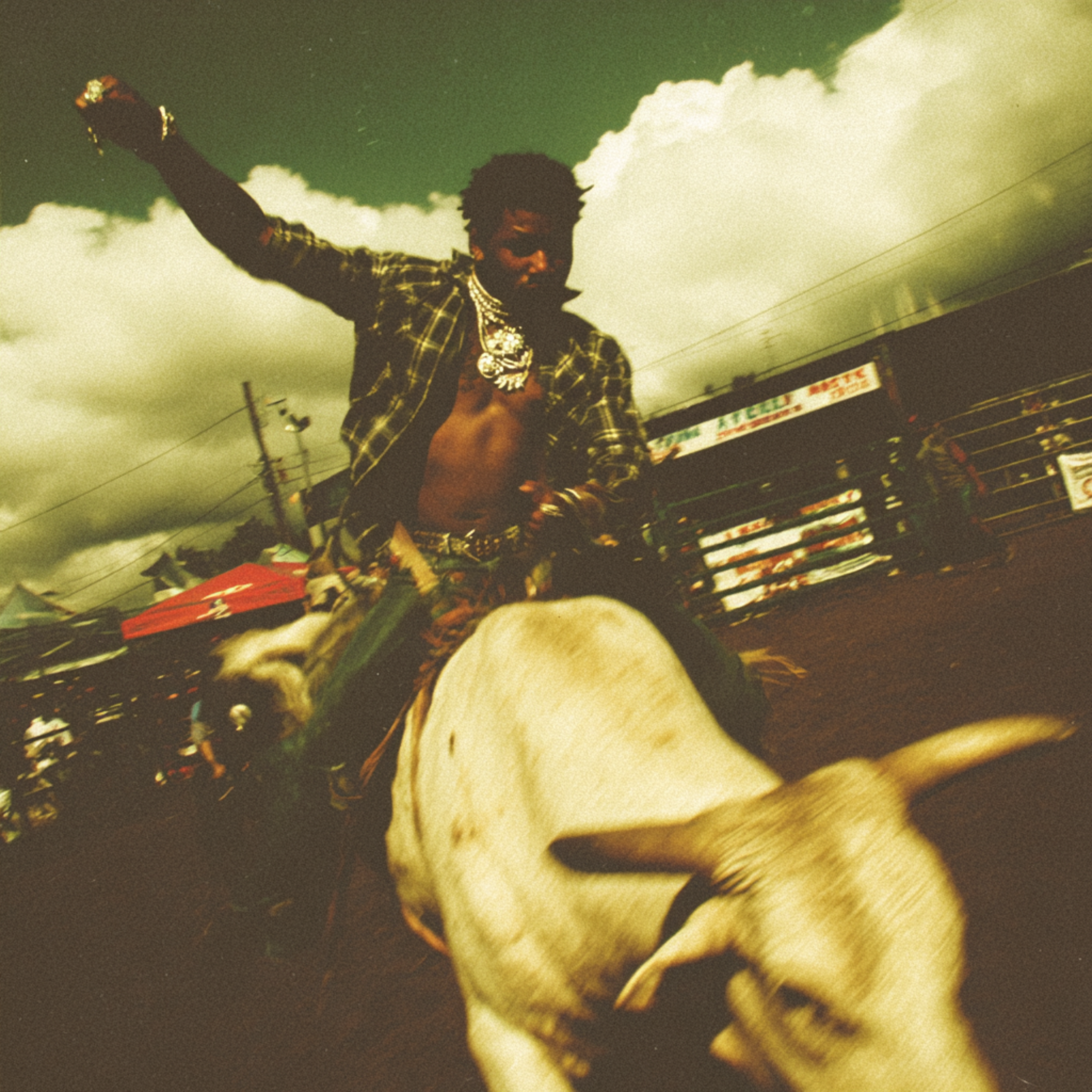 Rodeo Baby artwork