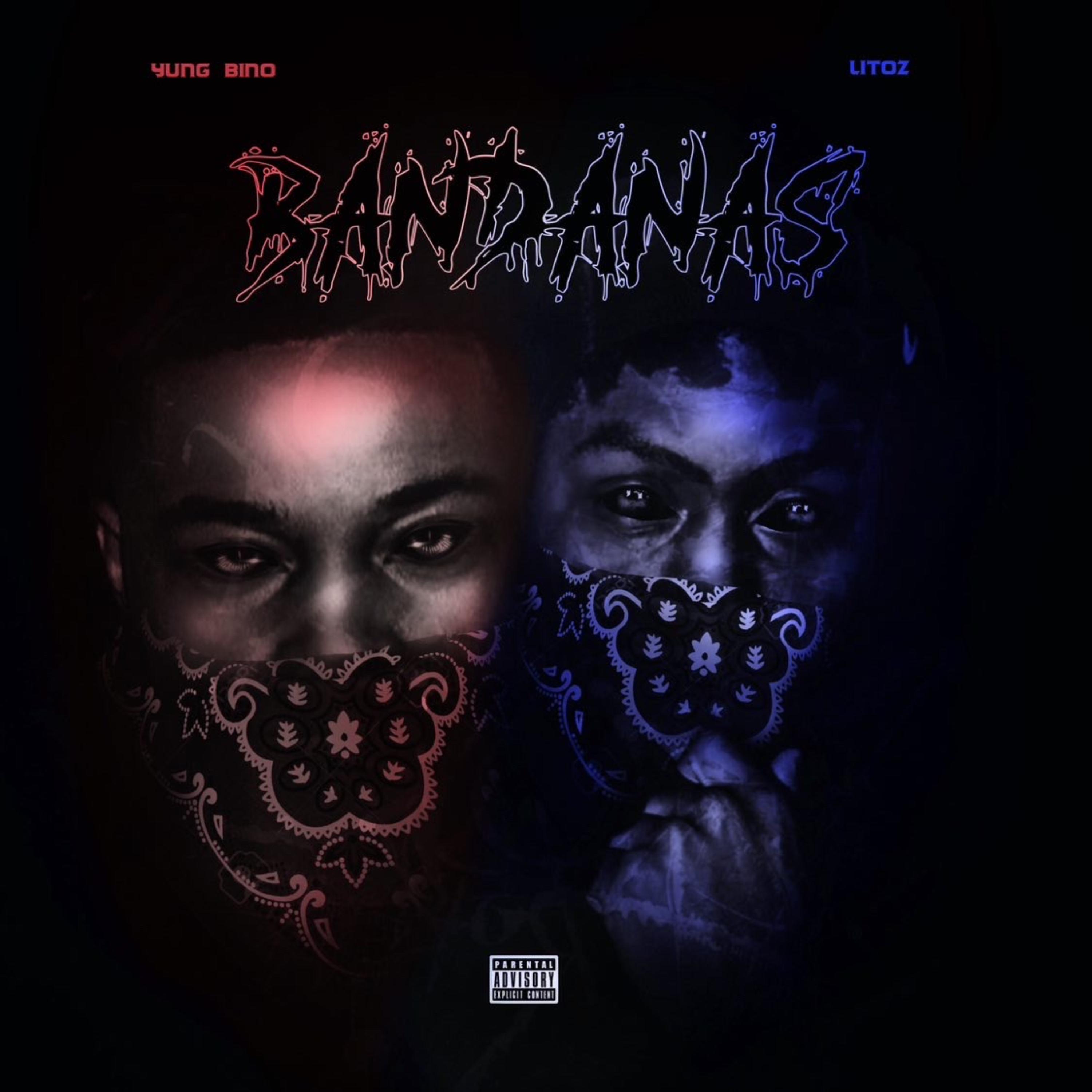 Bandanas artwork