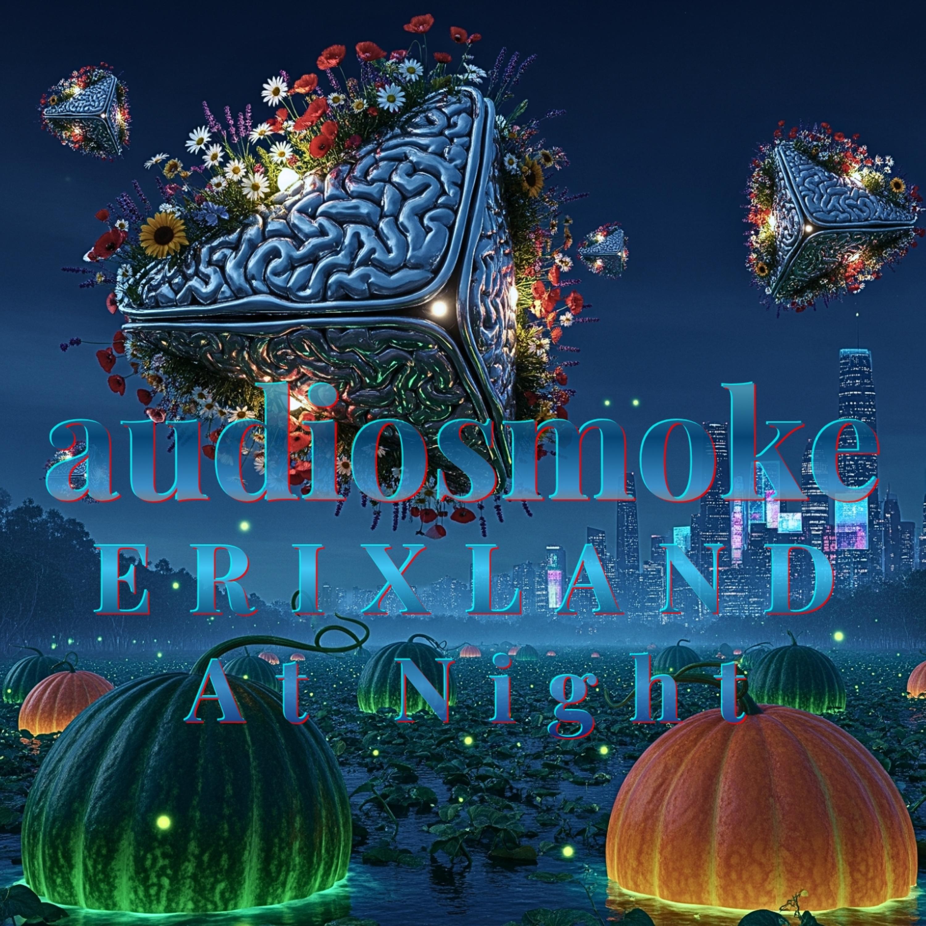 ERIXLAND AT NITE artwork