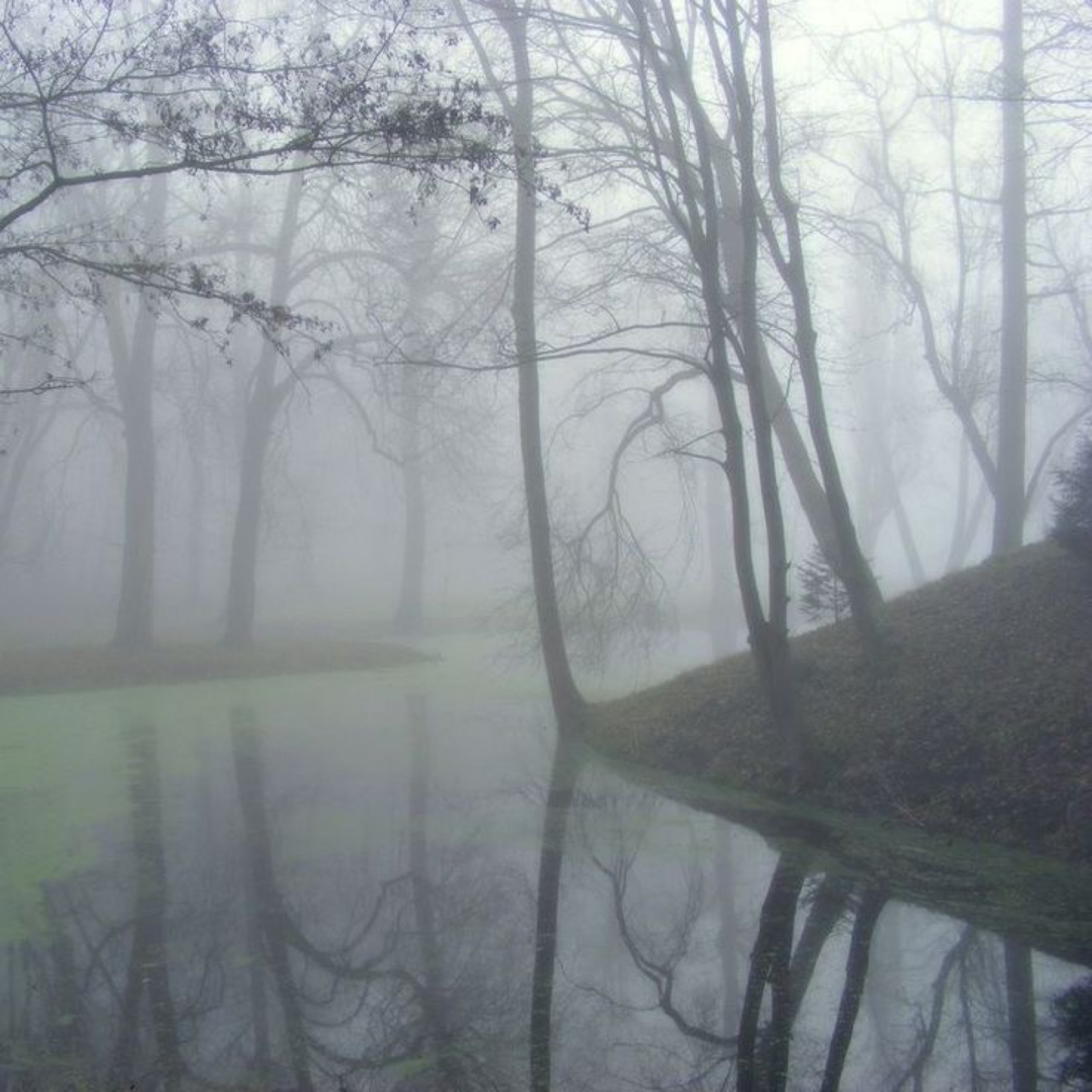 out my way/snakes artwork