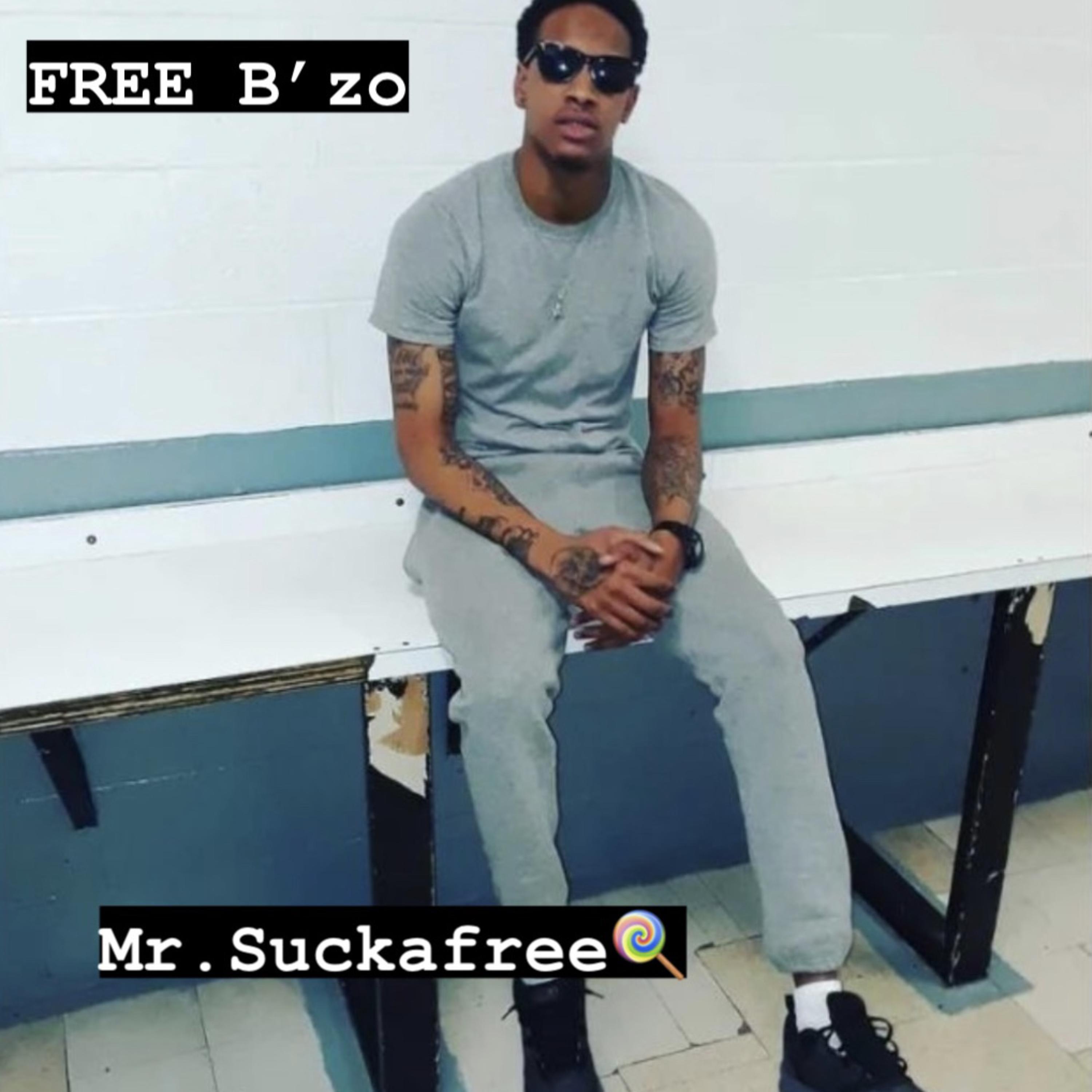 Free Bzo artwork