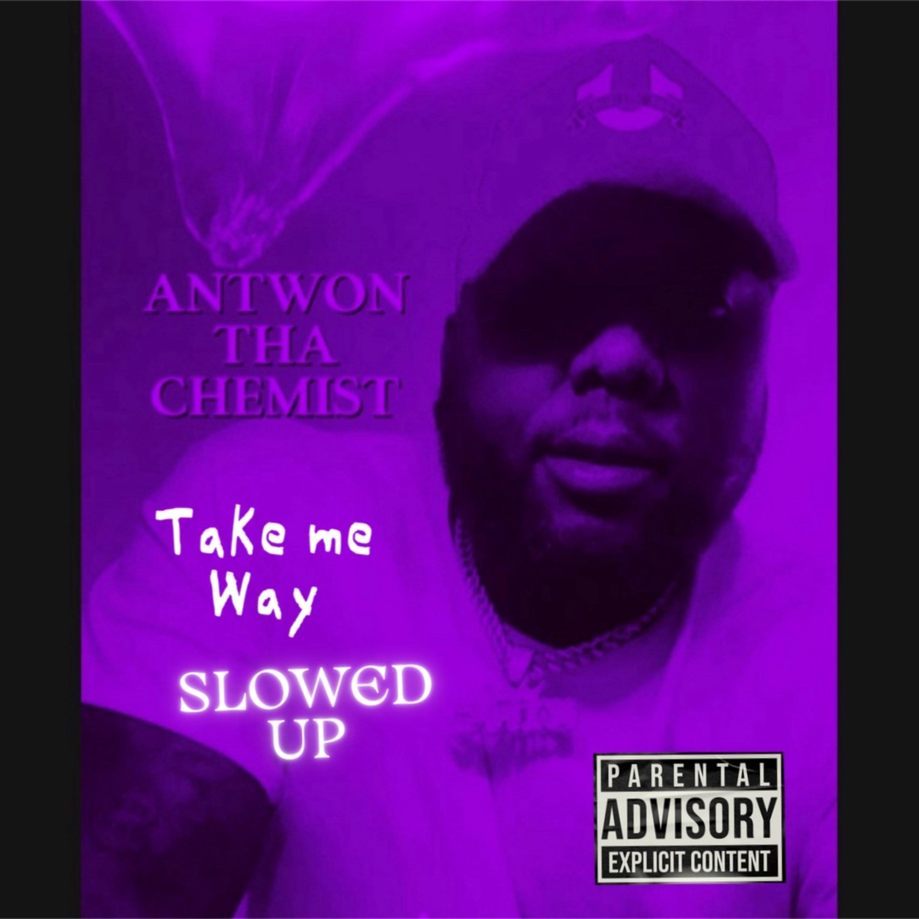 Take Me Away Slowed Up artwork