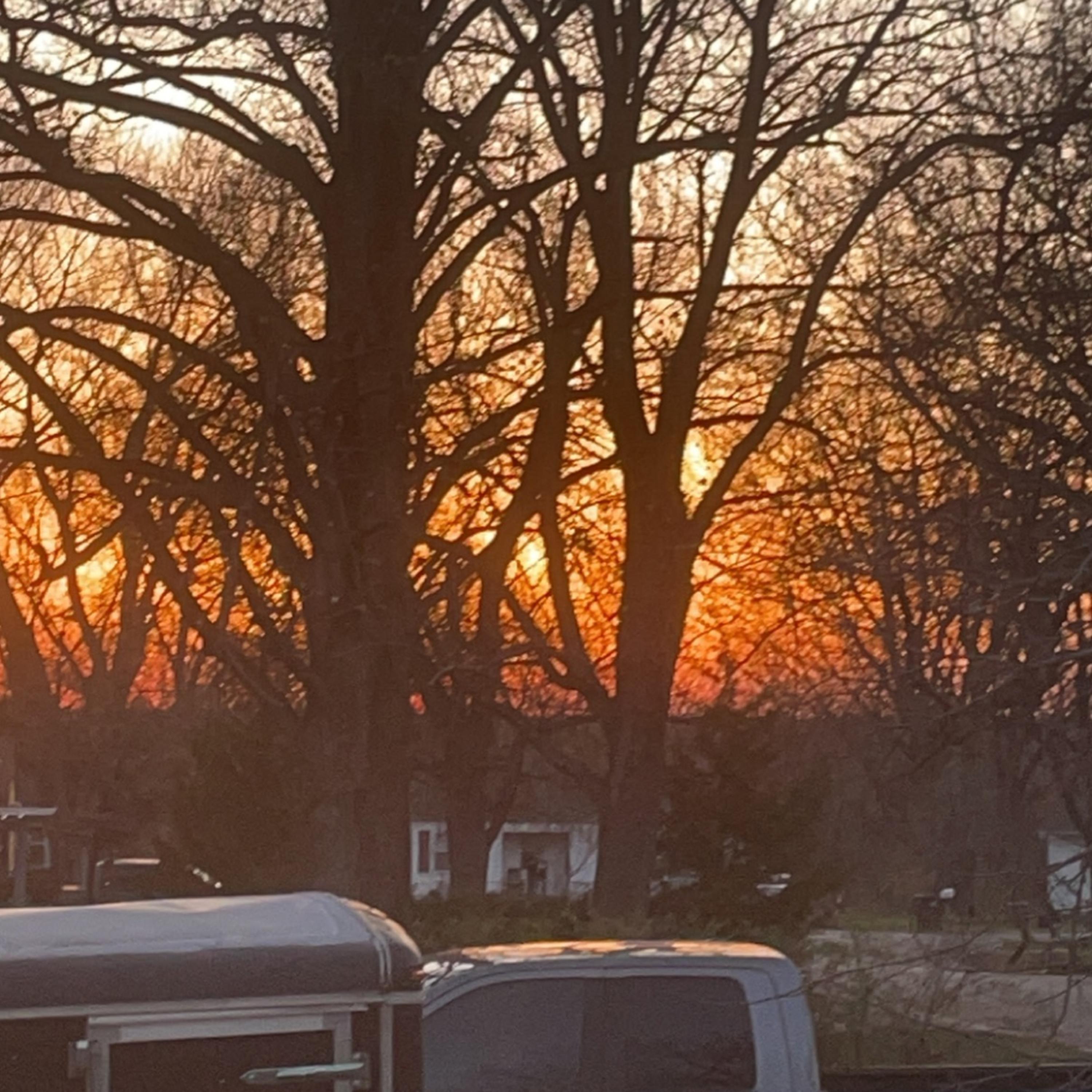 Sunset artwork
