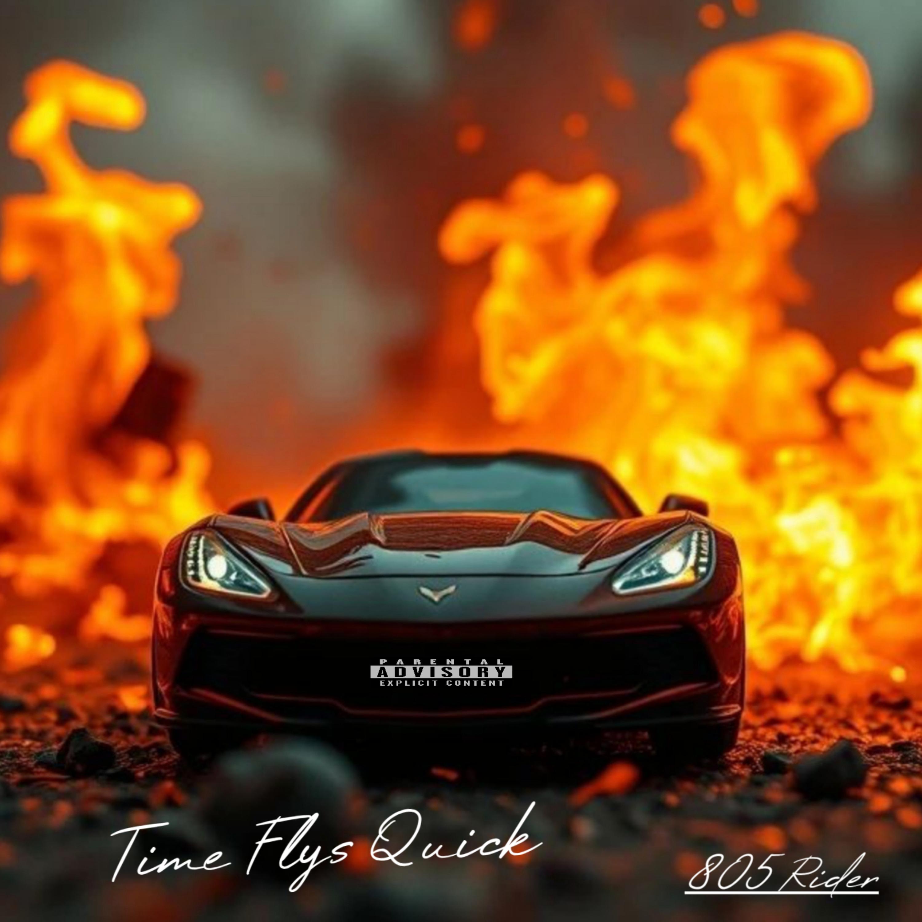 Time Flys Quick artwork