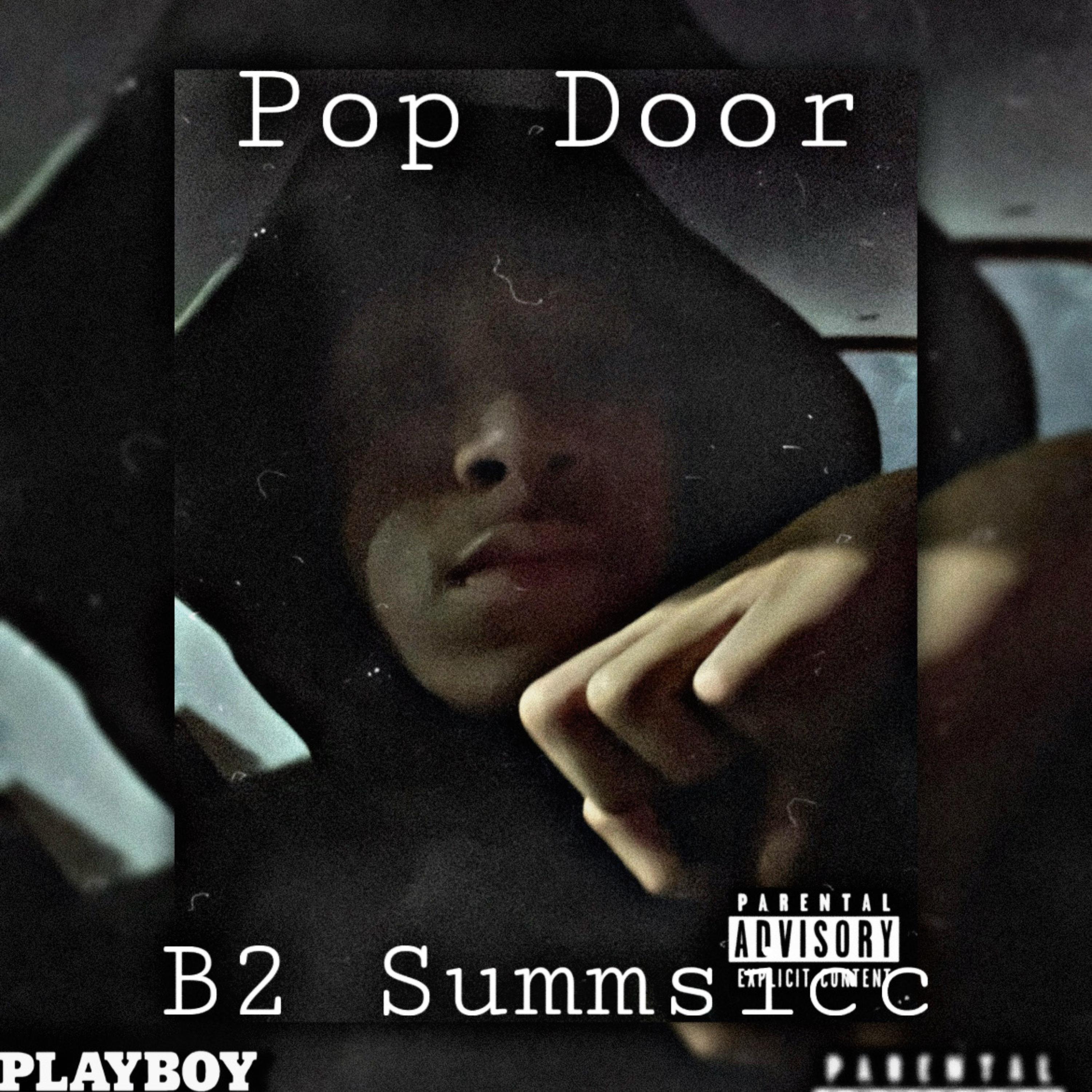 Pop Door artwork