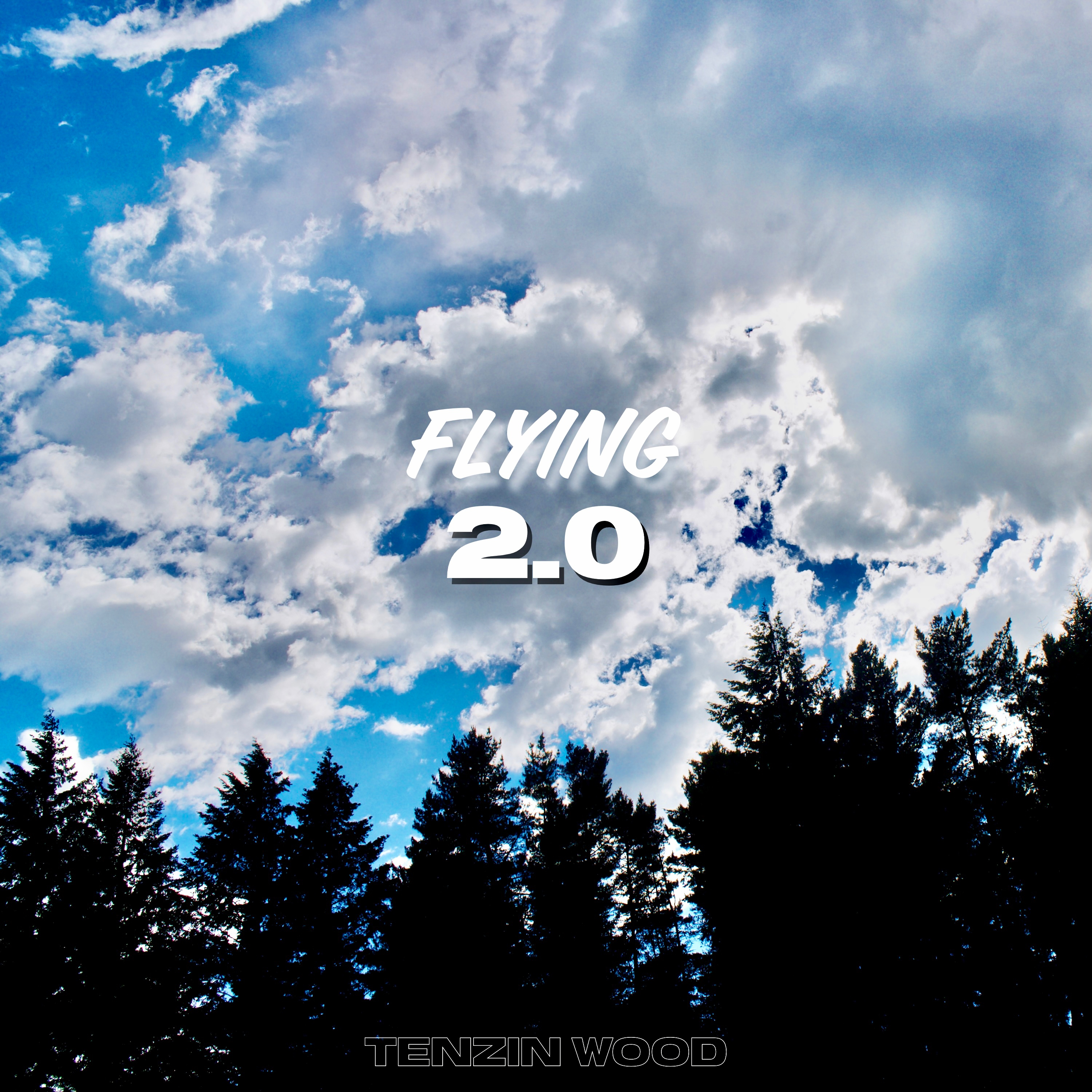 Flying 2.0 artwork