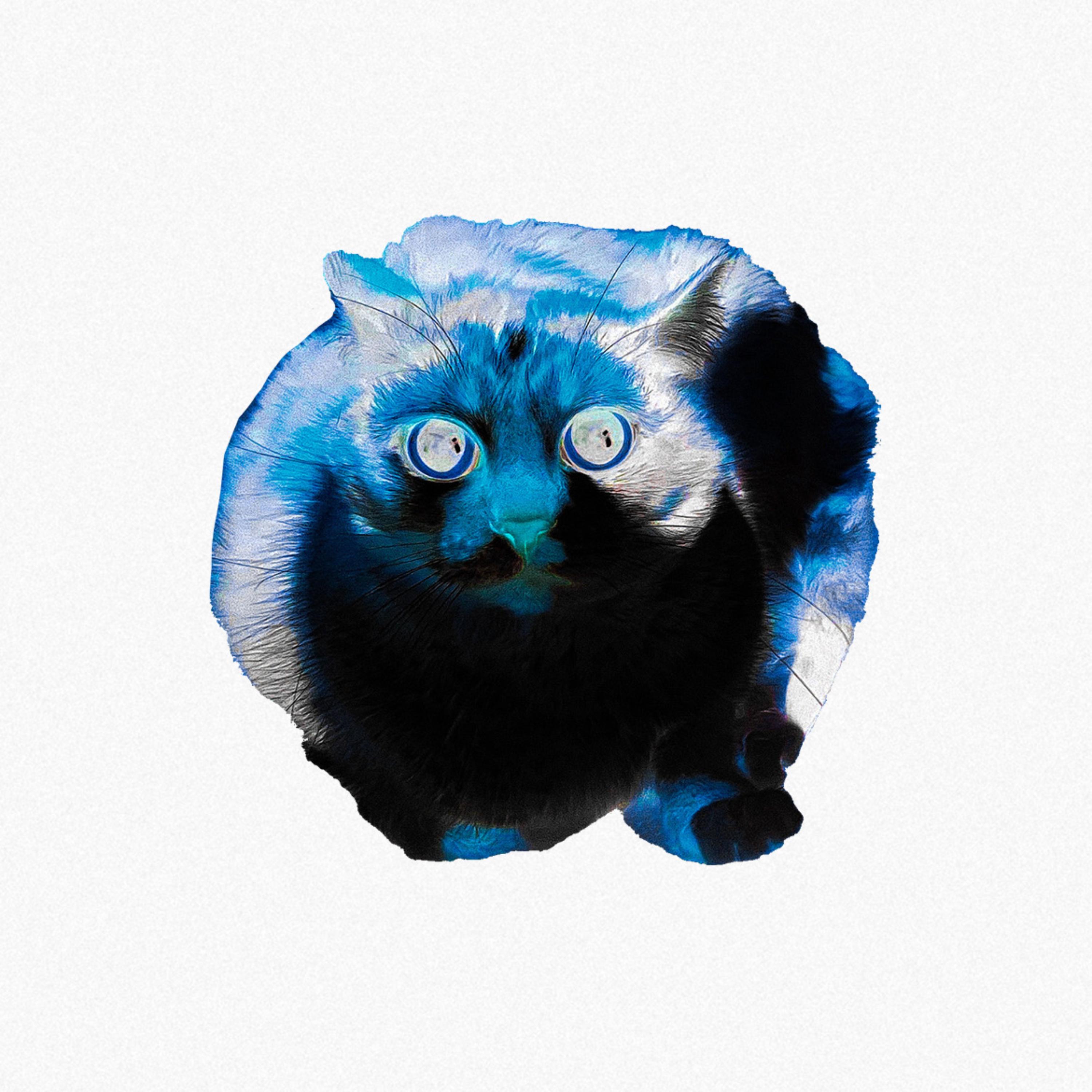 Love (Time Goes Fast) artwork