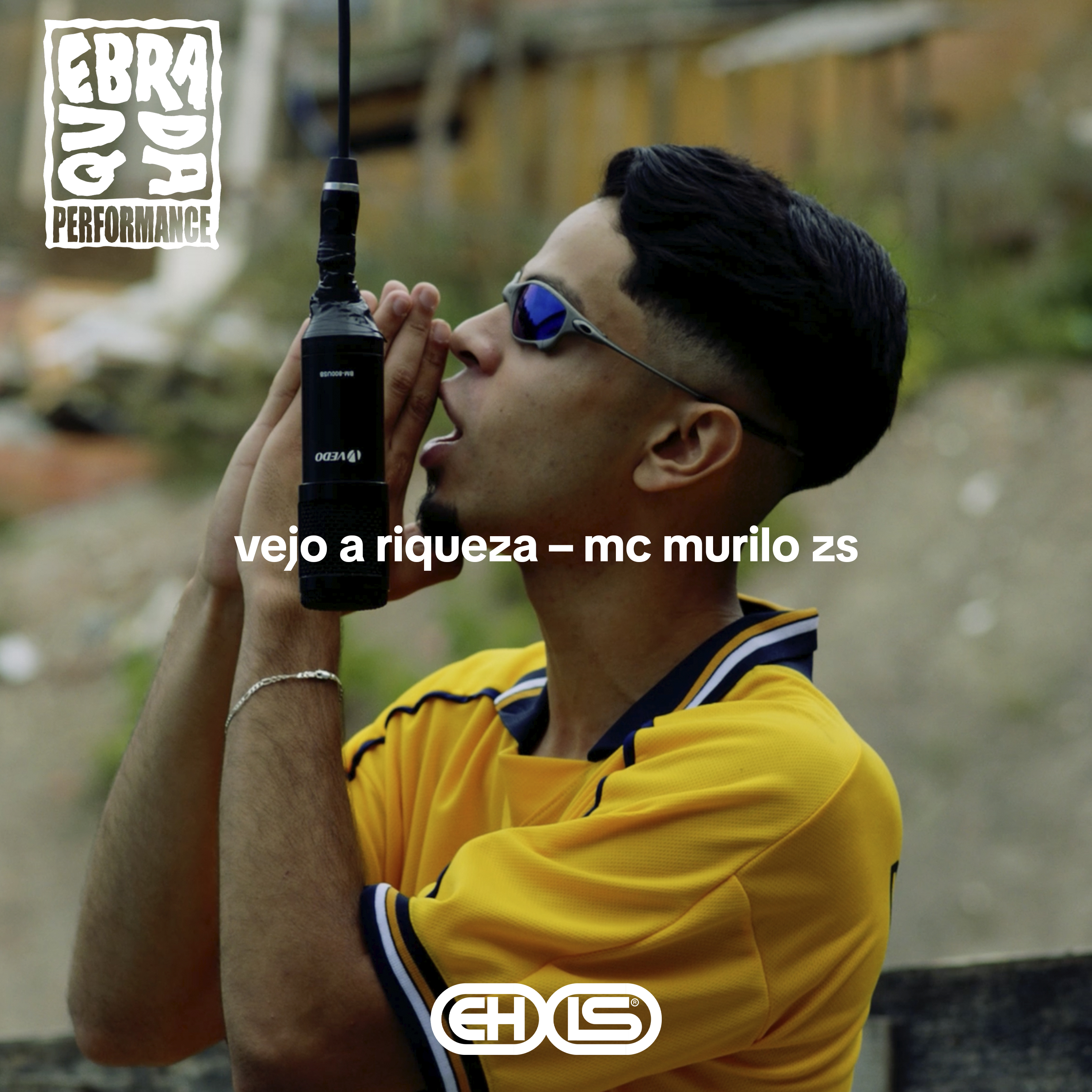 Vejo a Riqueza artwork
