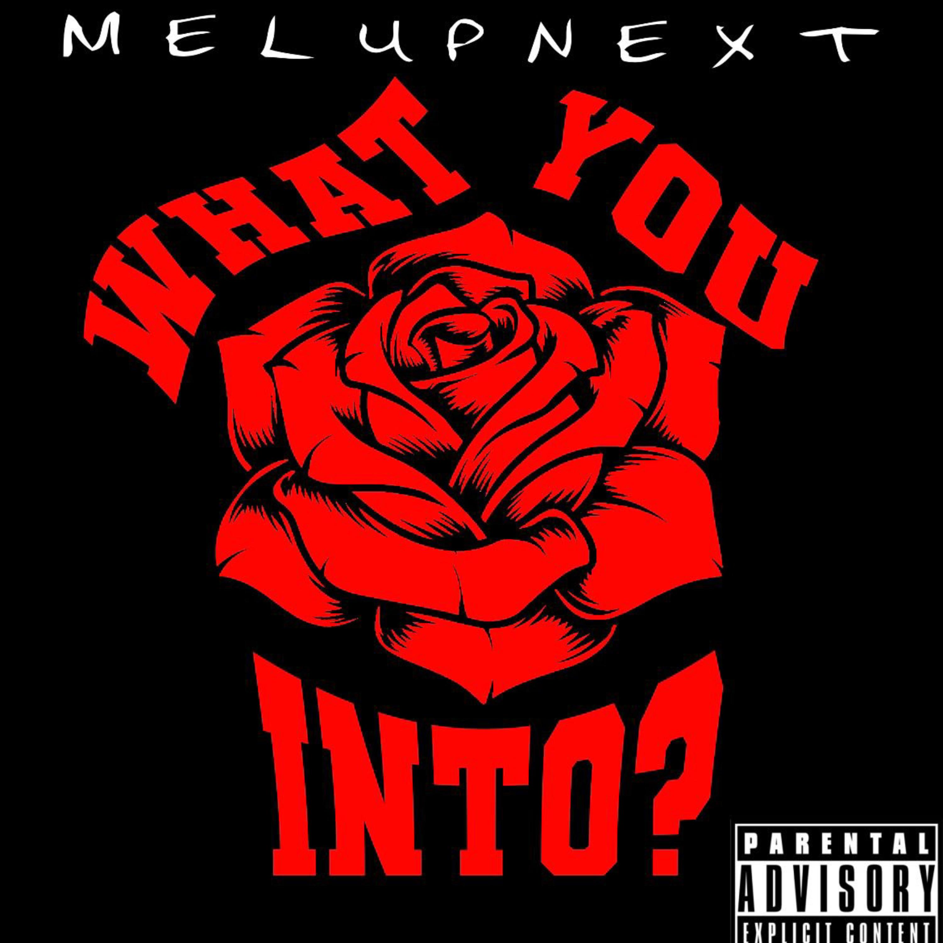 What You Into? artwork