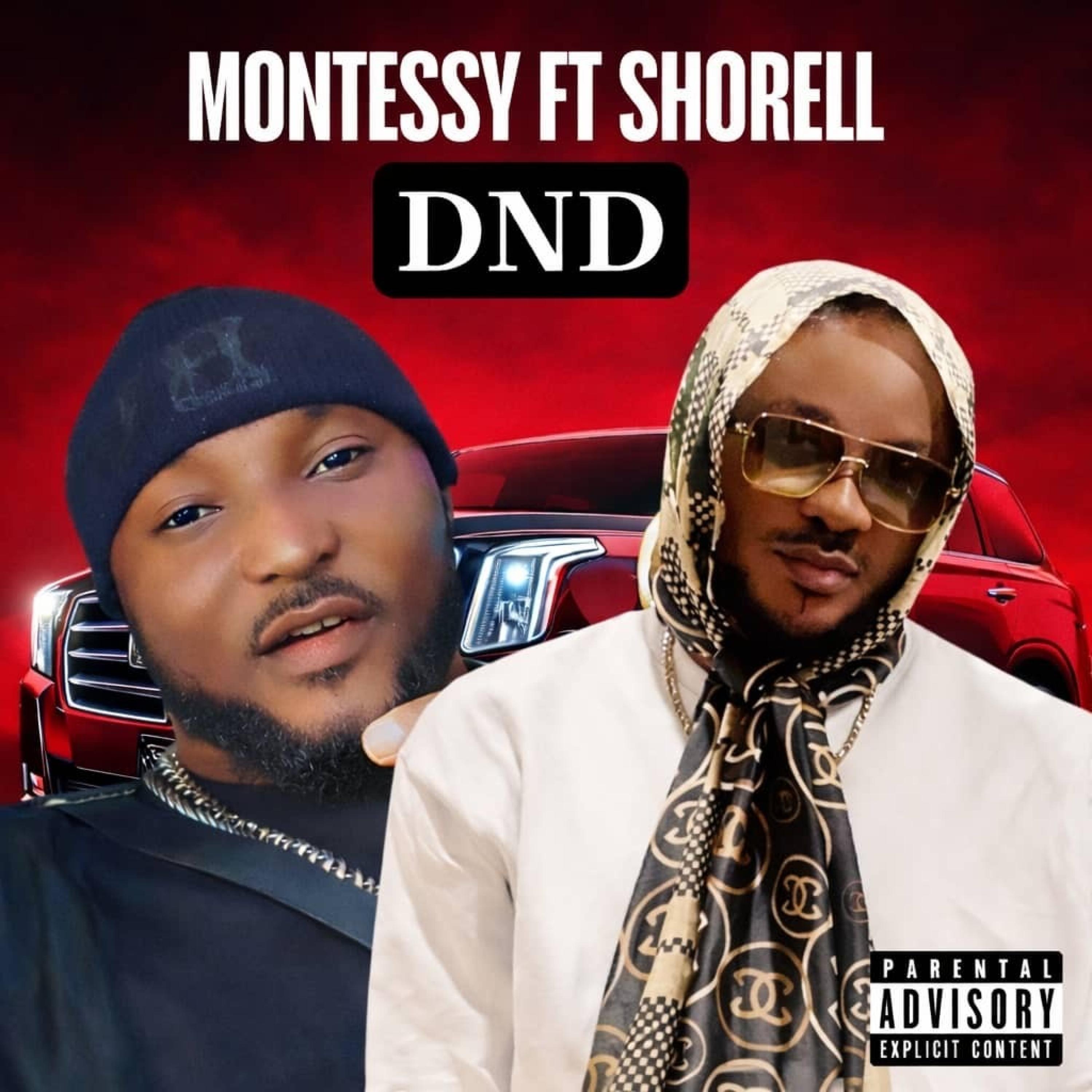 DND by Montessyempireparis cover art