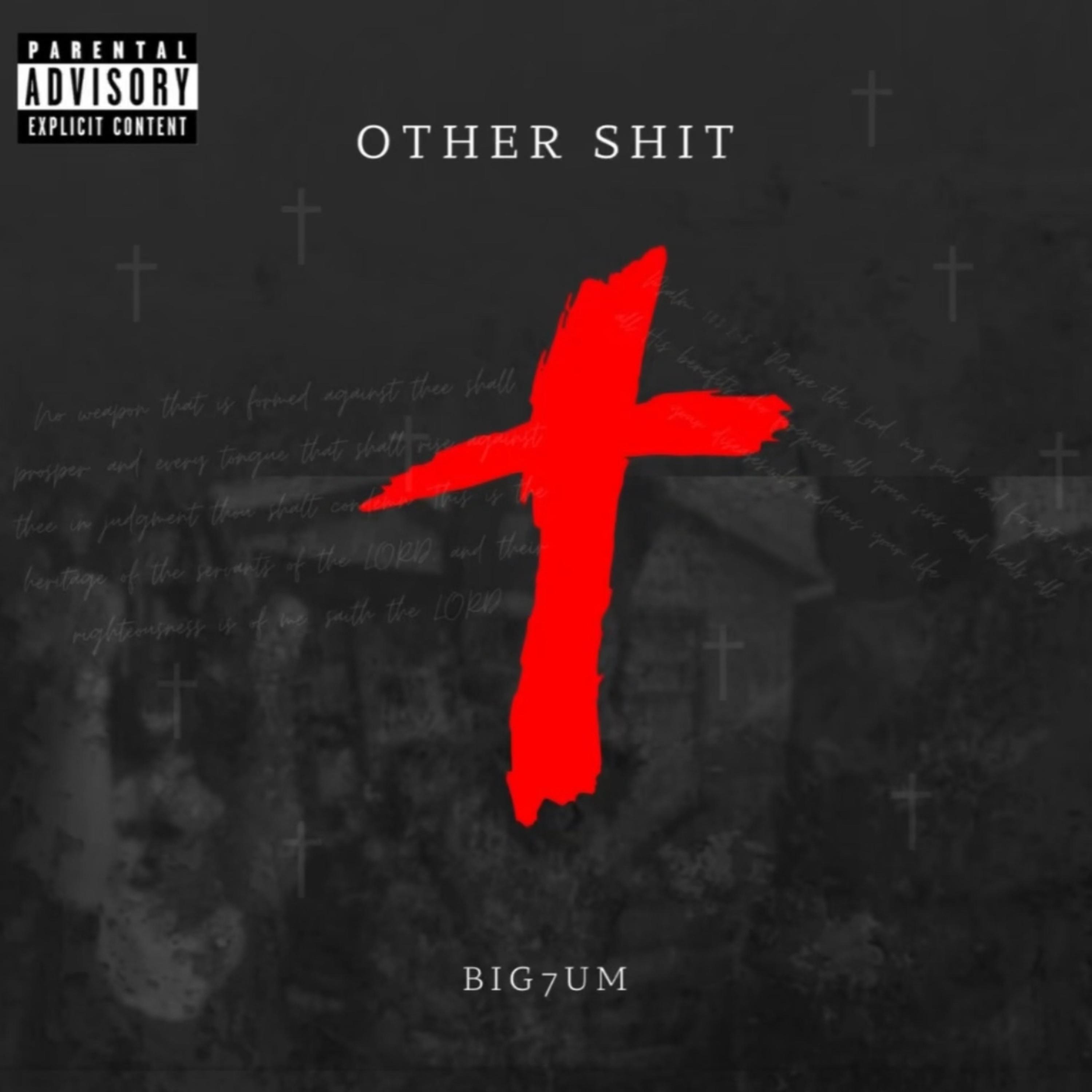 Other Shit artwork