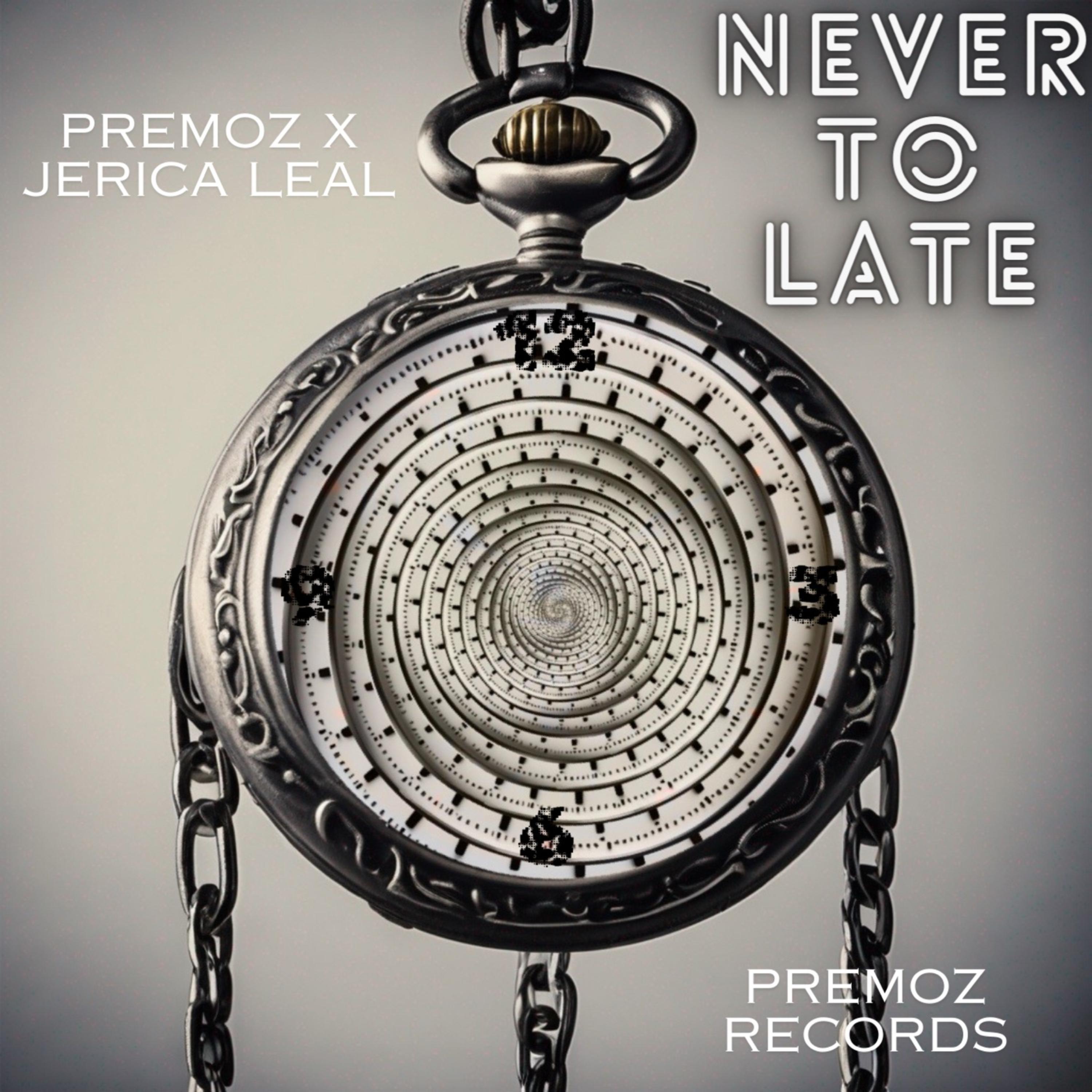 Never To Late artwork