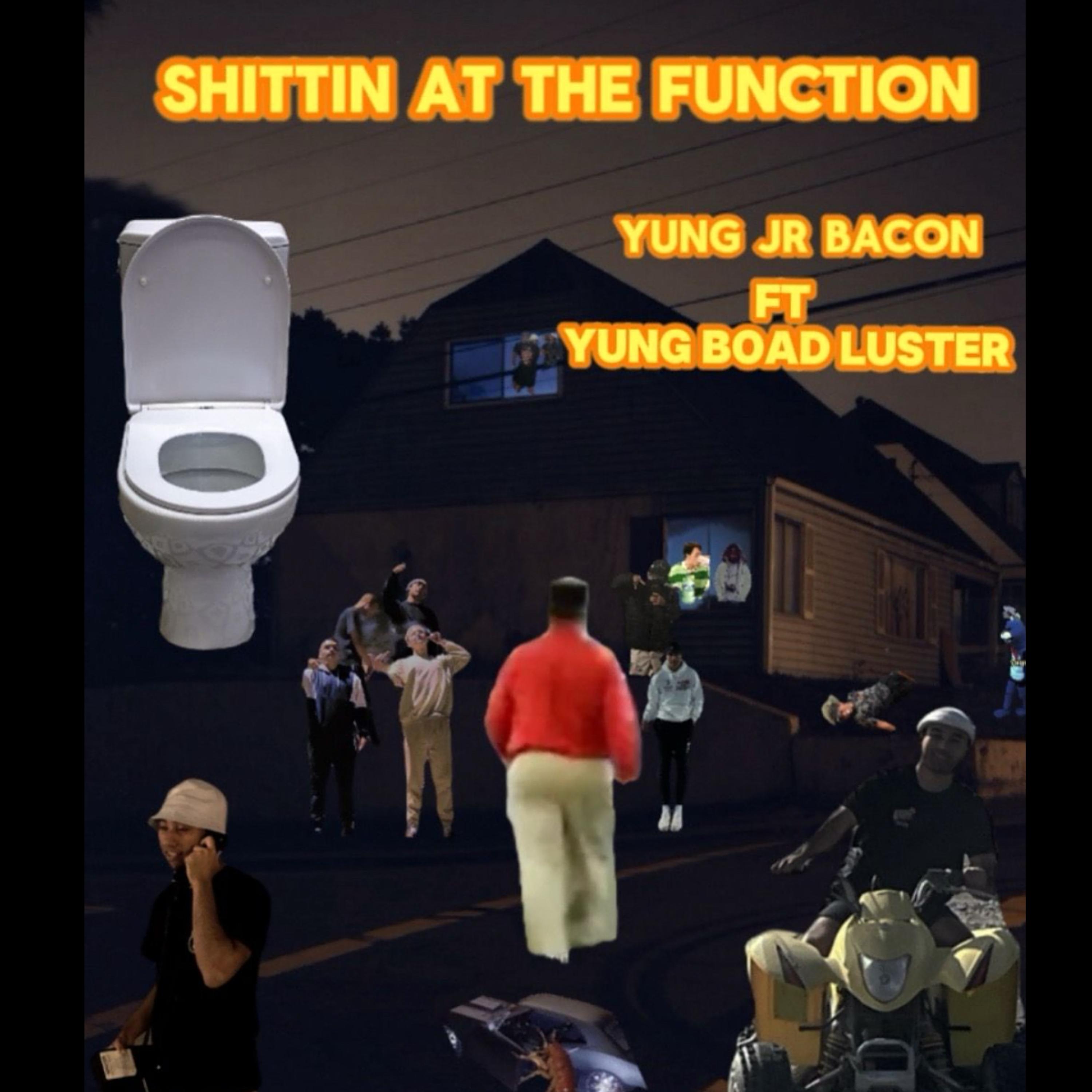 SHITTIN AT THE FUNCTION artwork