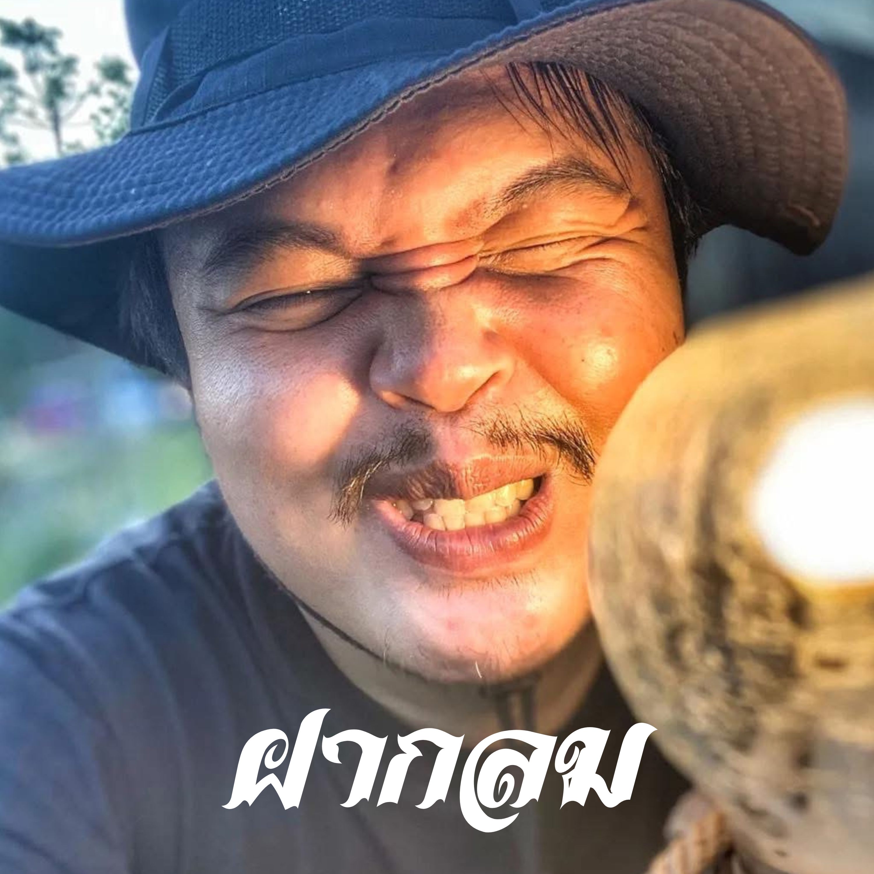 ฝากลม artwork