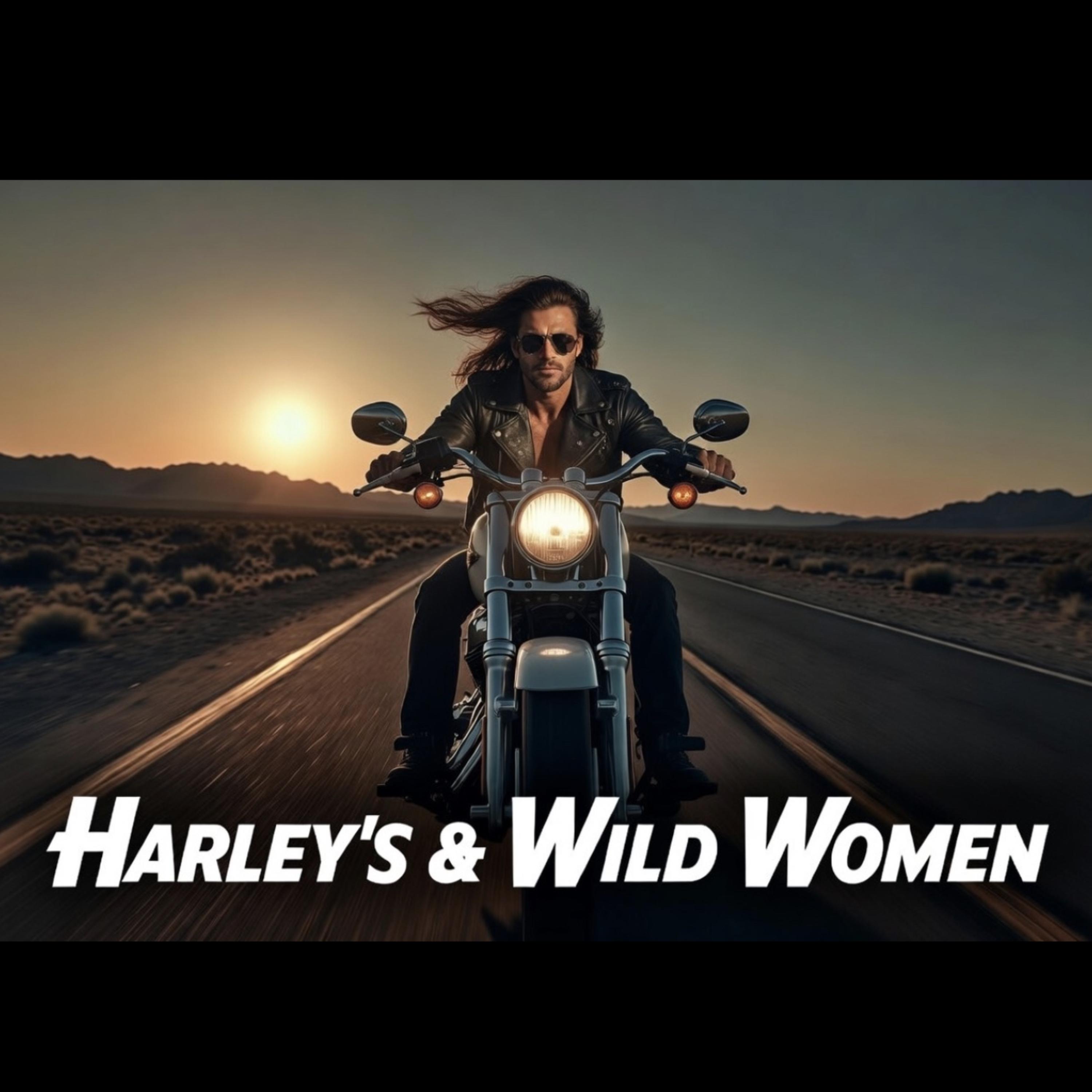 Harley’s & Wild Women artwork