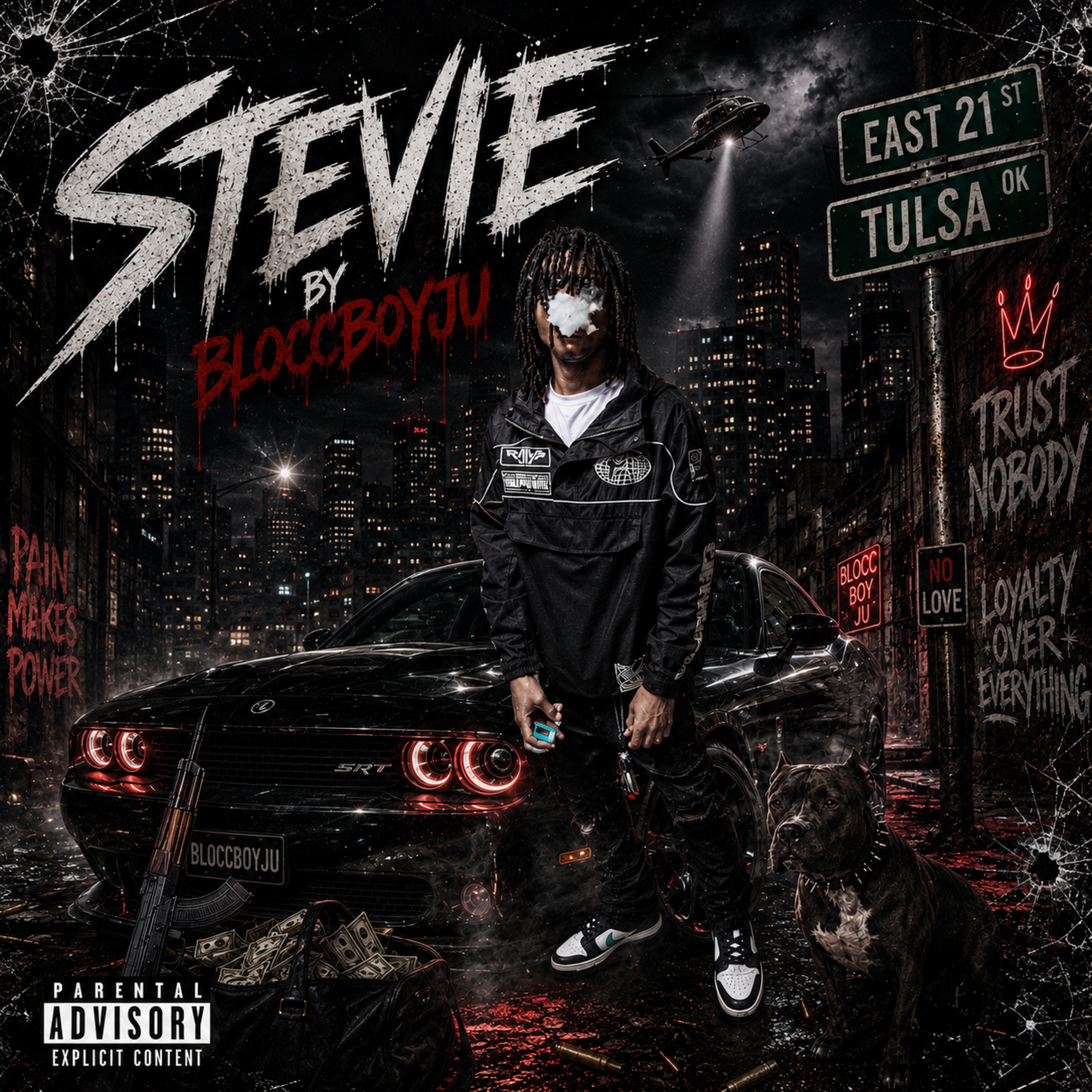 Stevie by Bloccboyju cover art