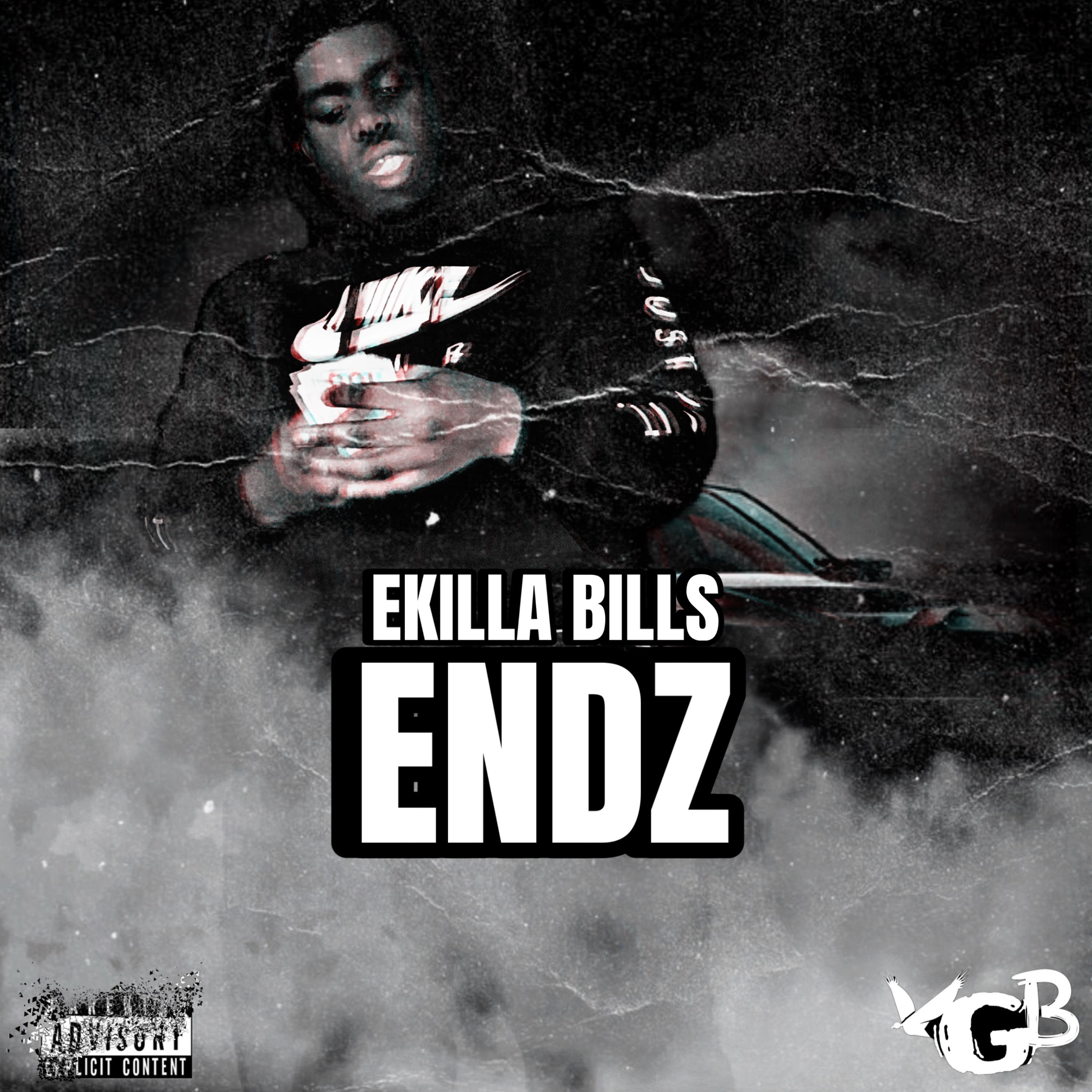 ENDZ artwork
