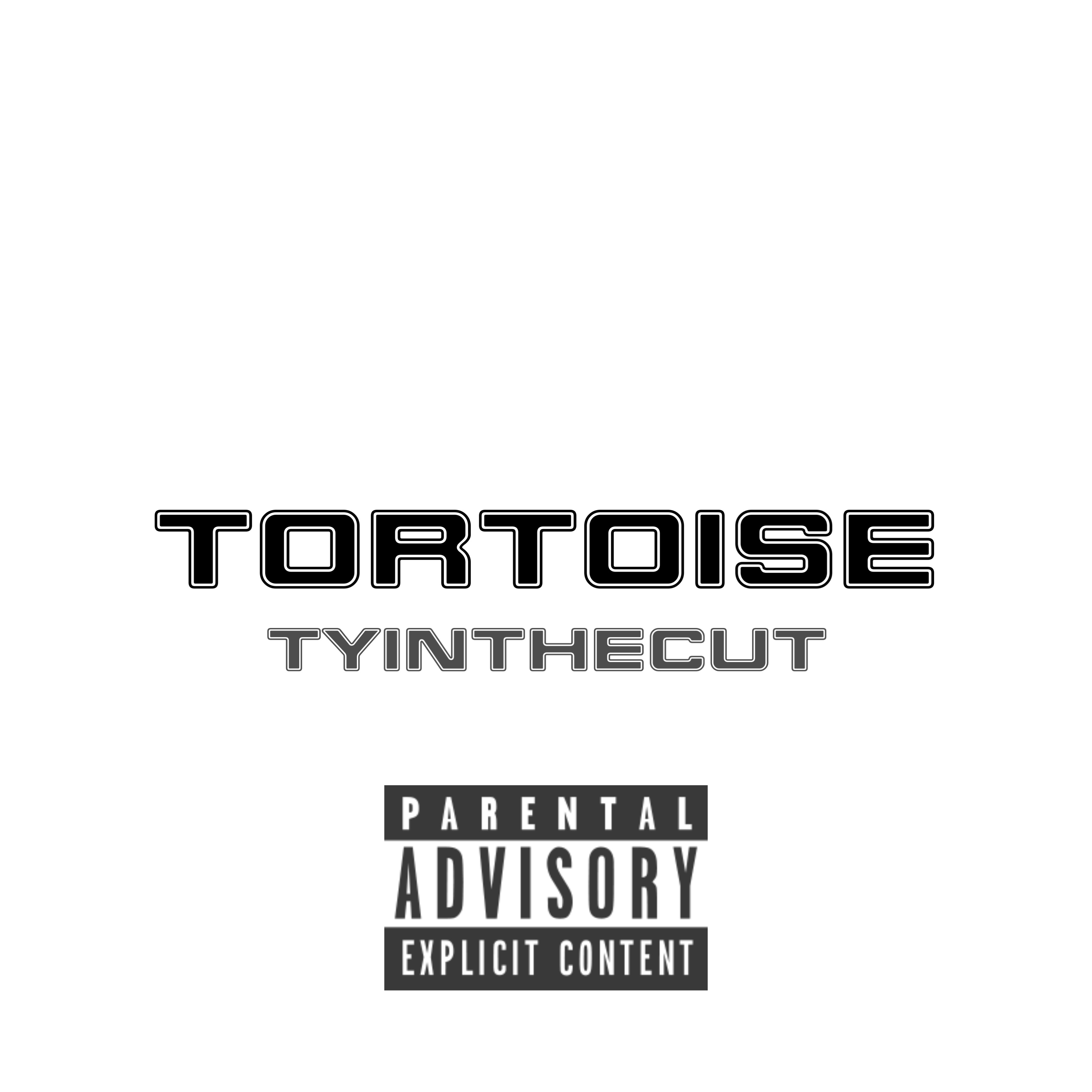 Tortoise artwork