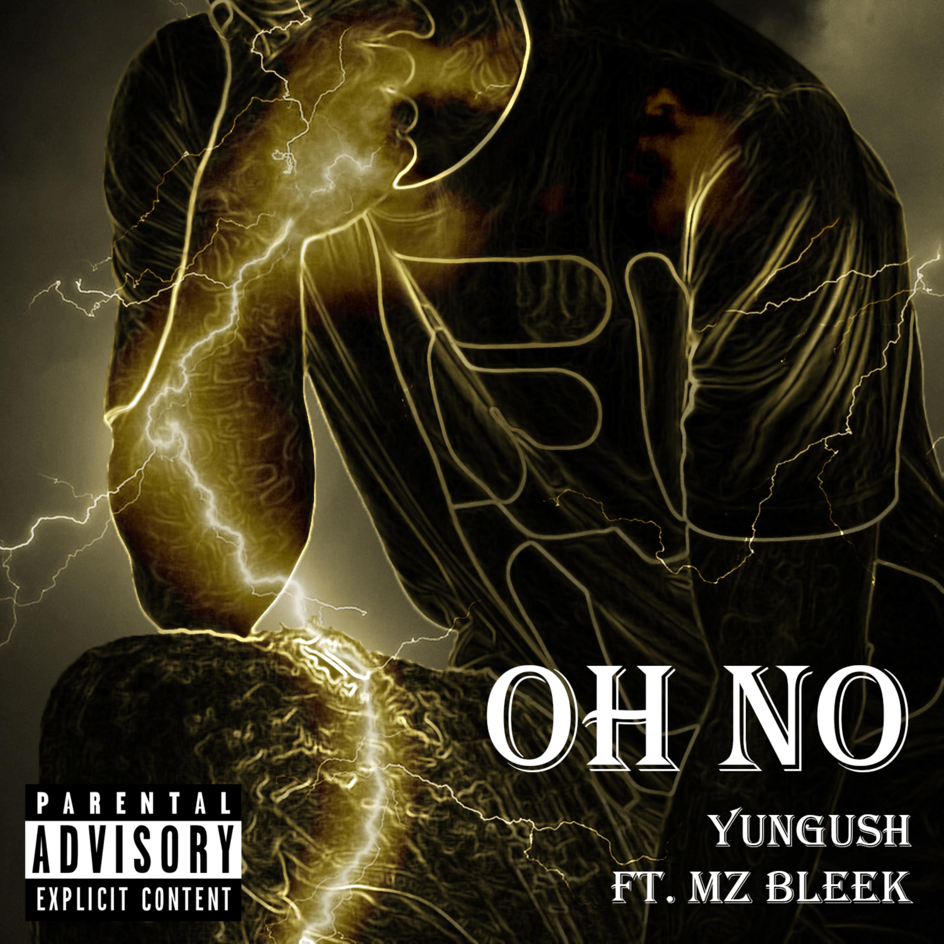 OH NO artwork