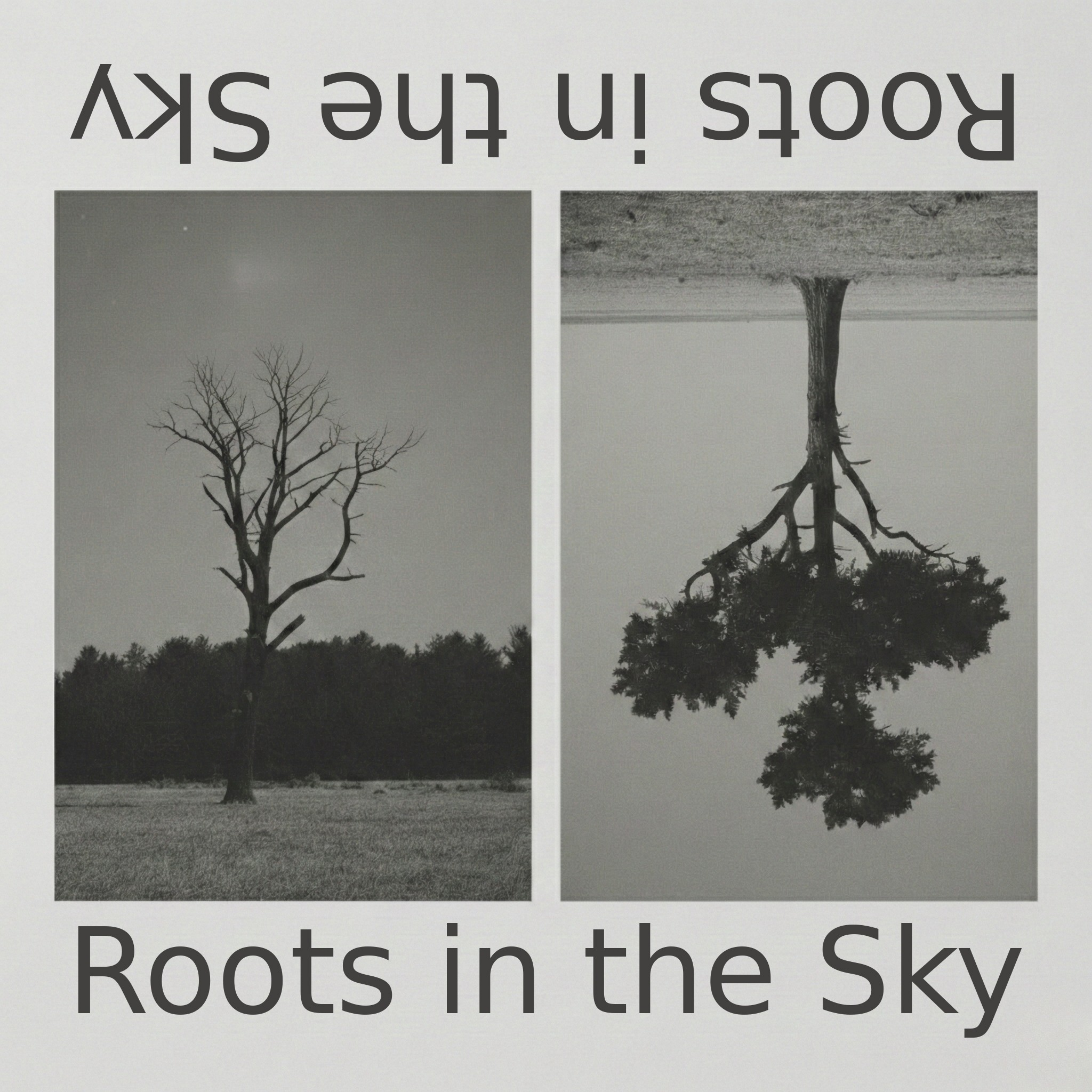 ROOTS IN THE SKY artwork