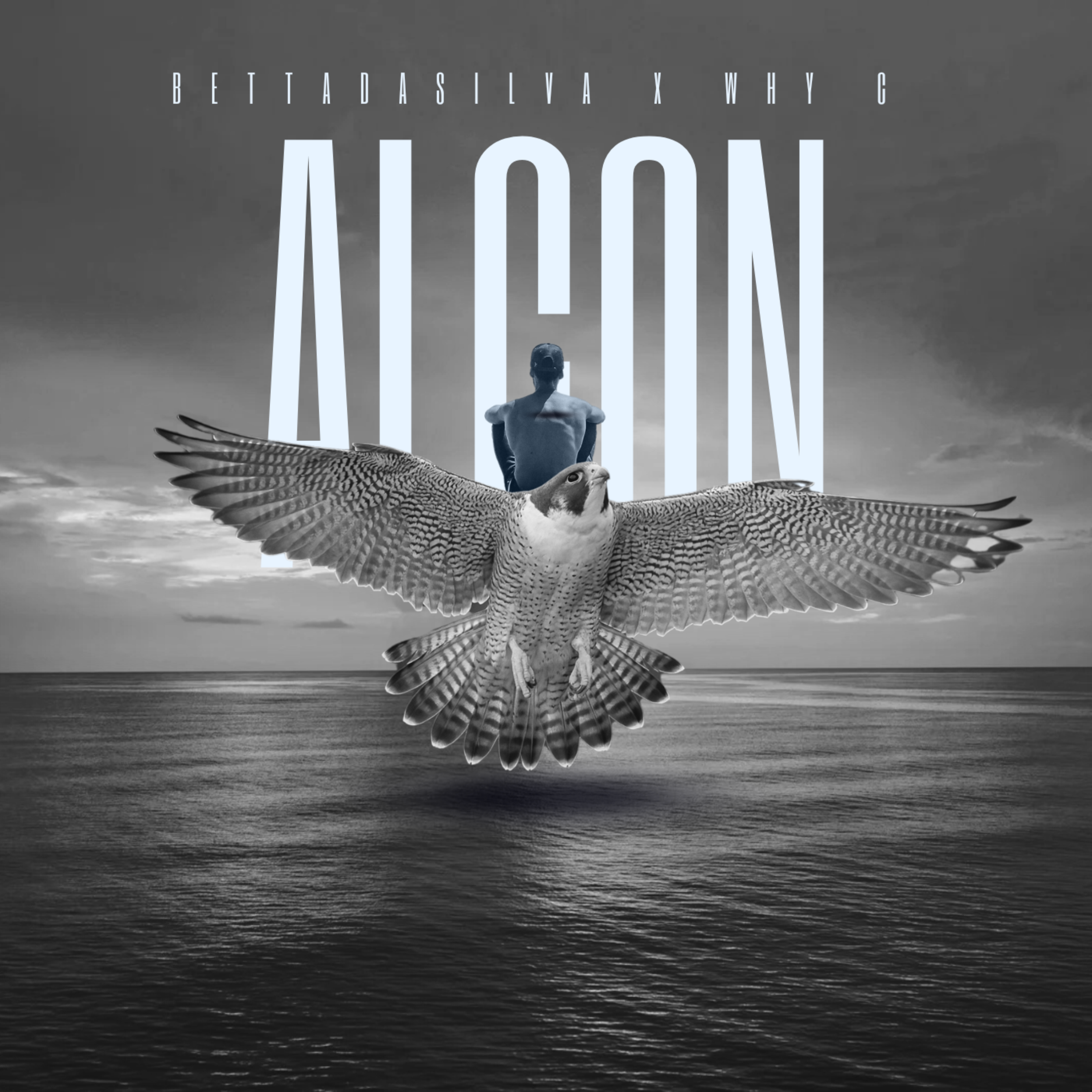 Alcon artwork