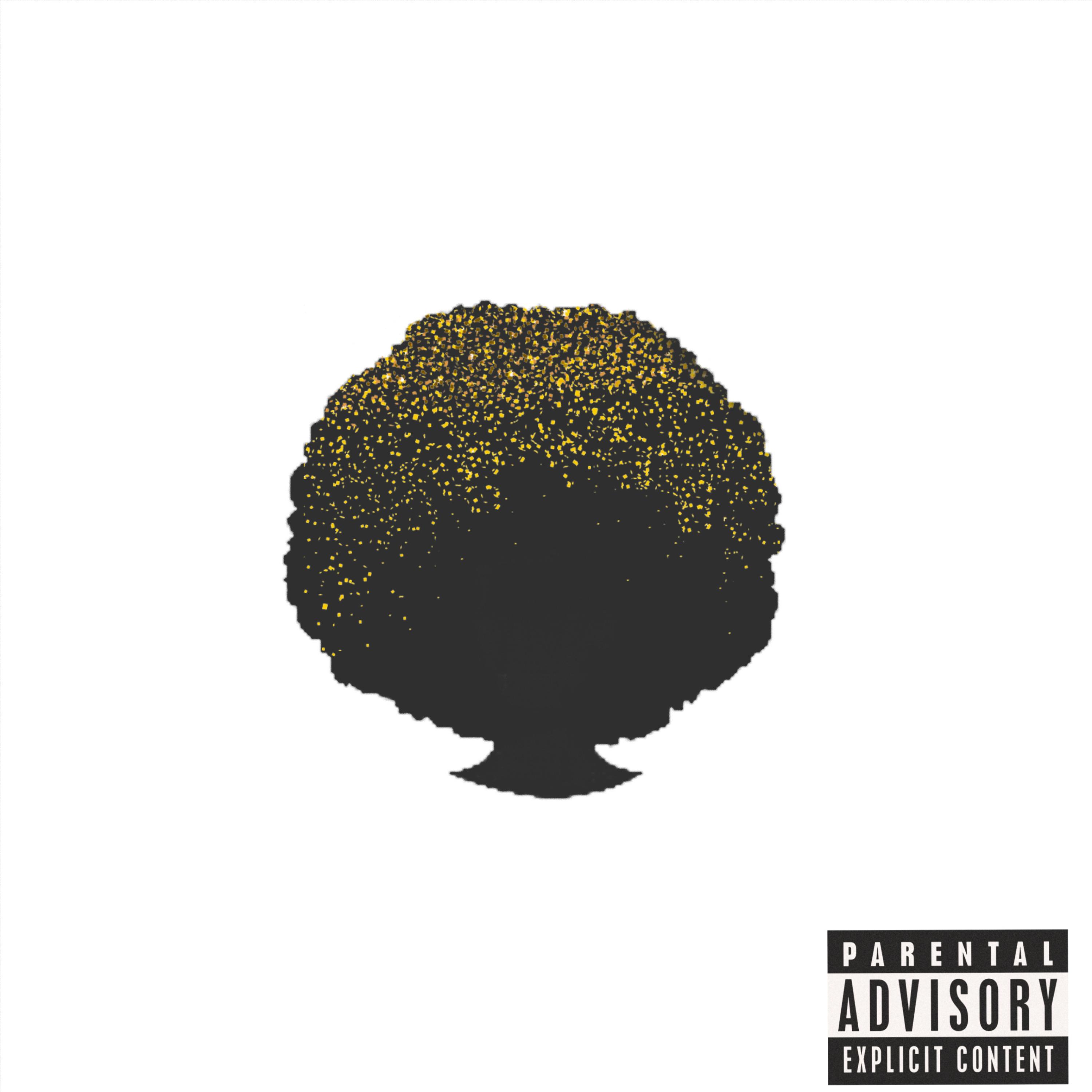 The Black Revolution artwork