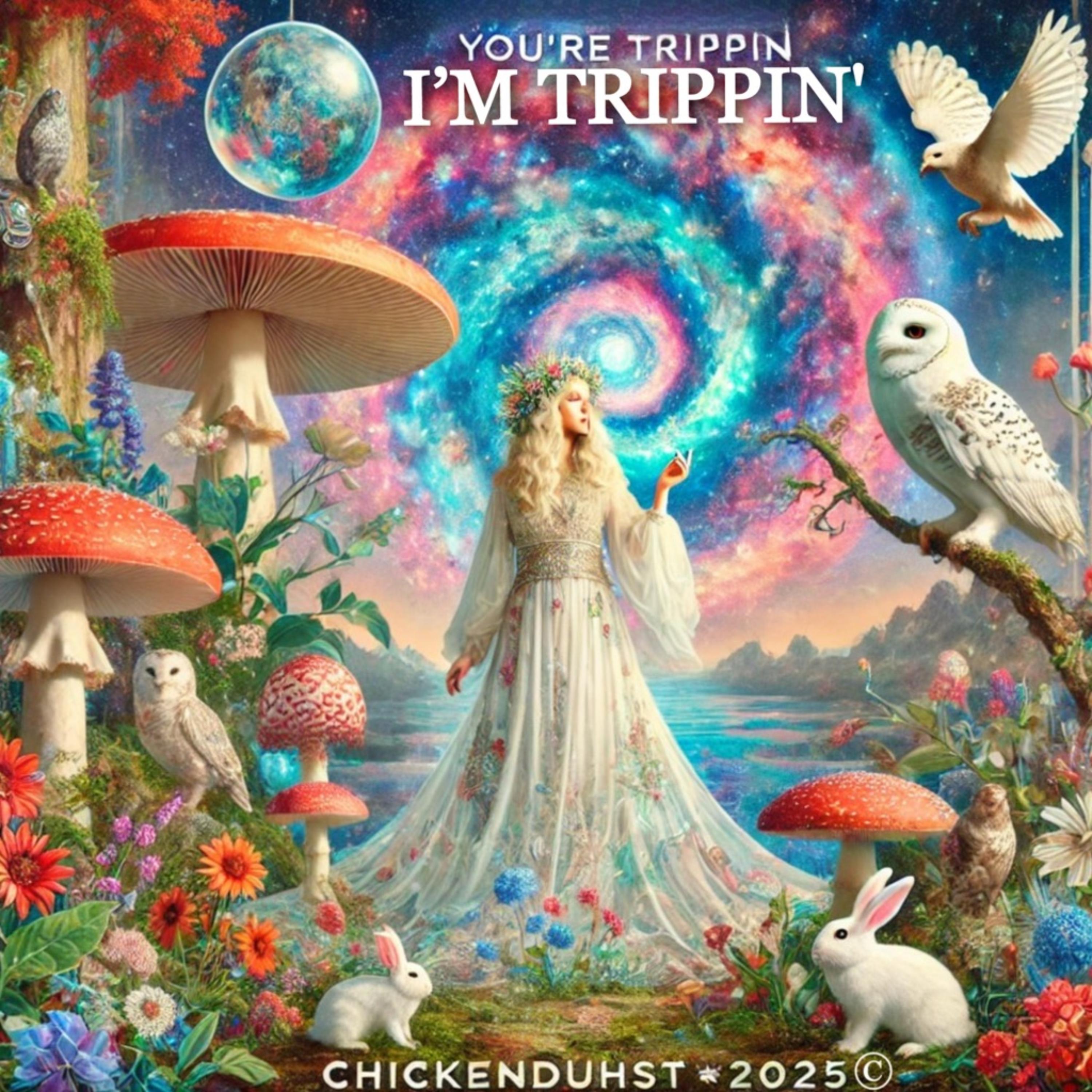 I’M TRIPPIN’ (YOU’RE TRIPPIN’) artwork