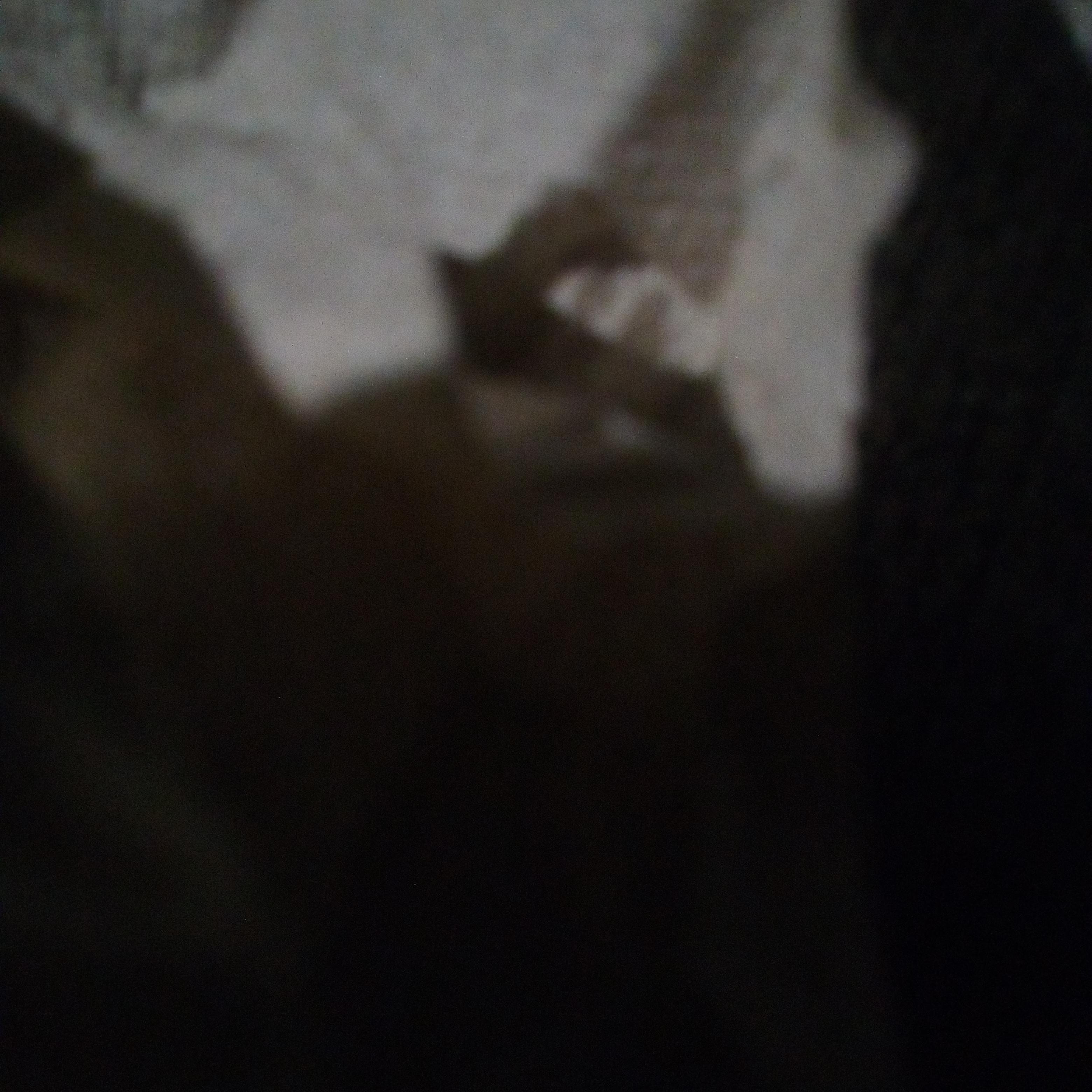 Temporal Field Distortion artwork