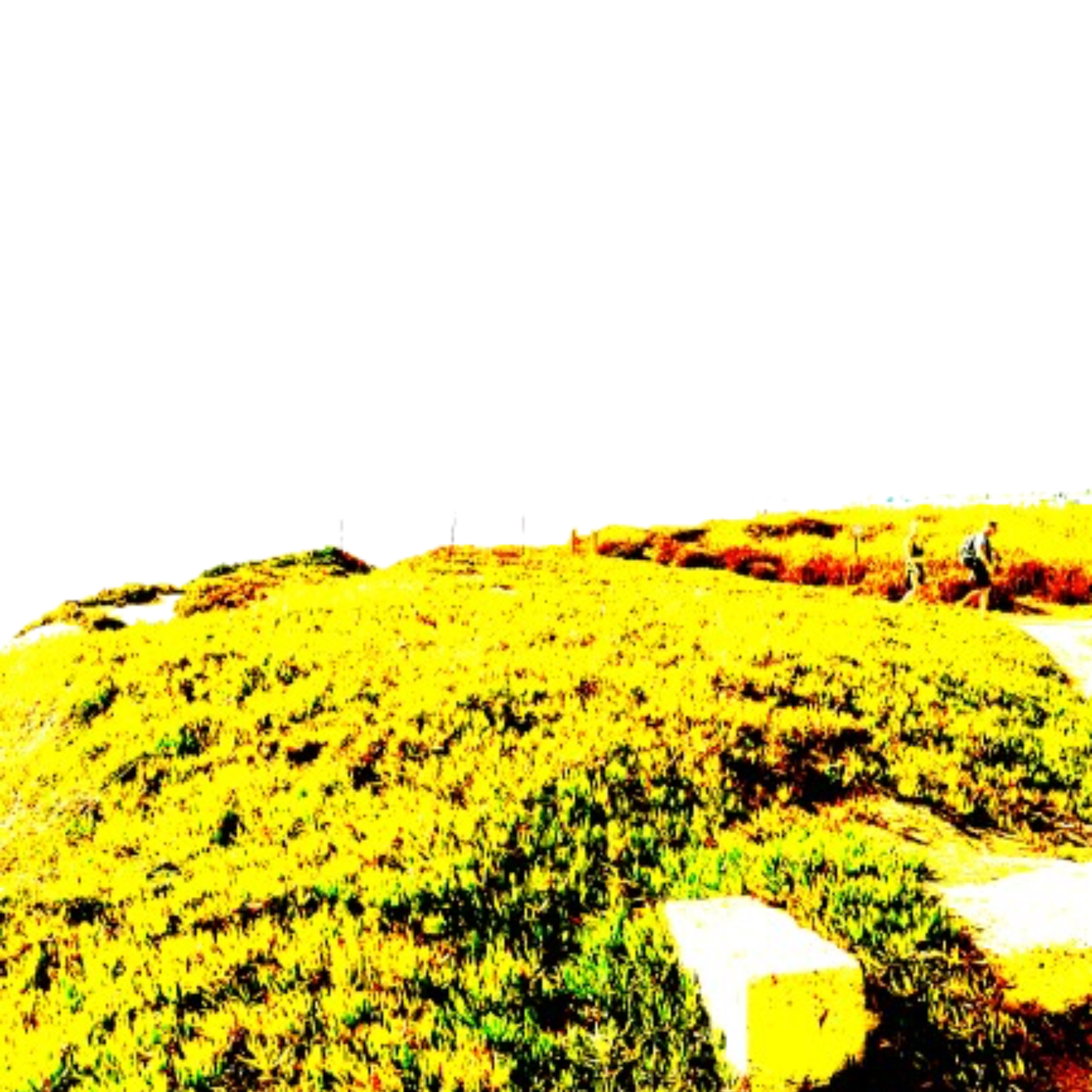 On My Level/10:30 artwork