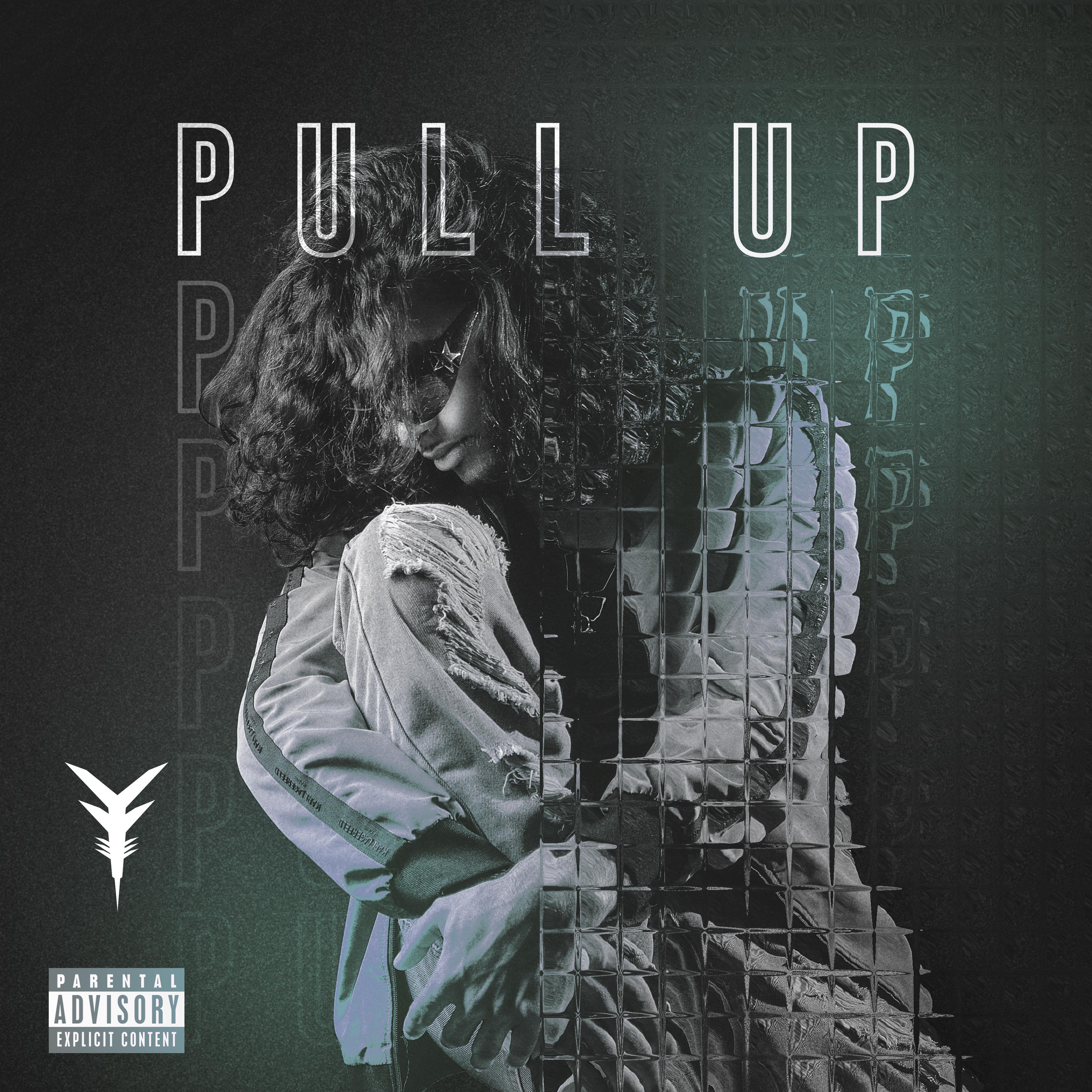 PULL UP artwork