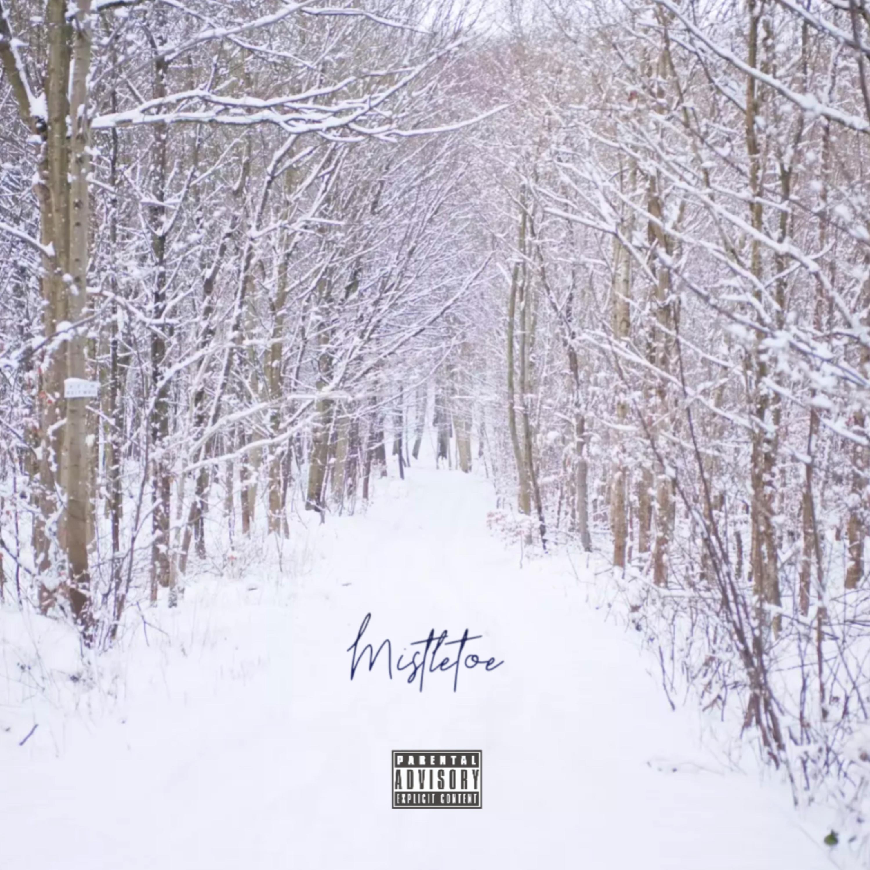 Mistletoe artwork