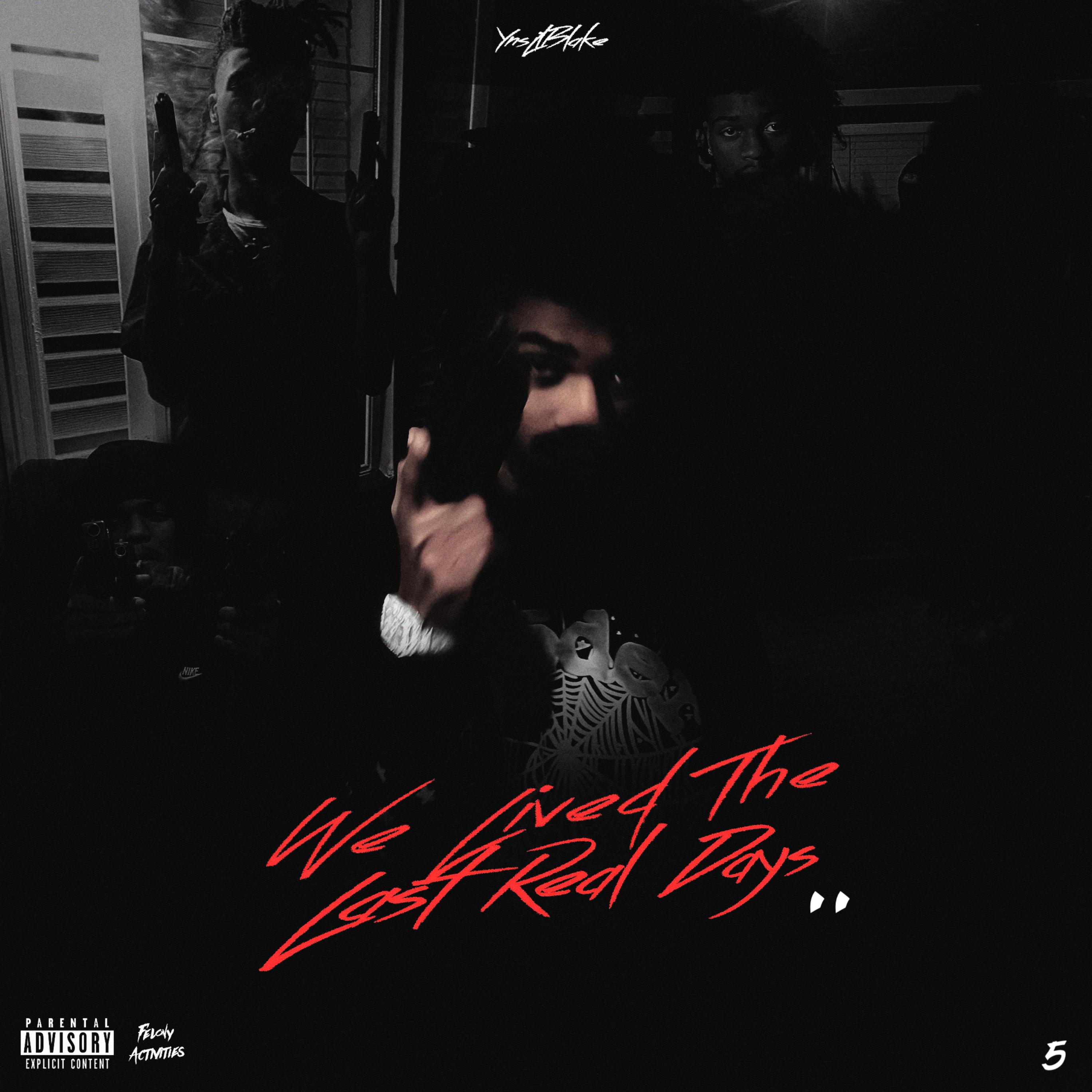 We Lived The Last Real Days.. artwork