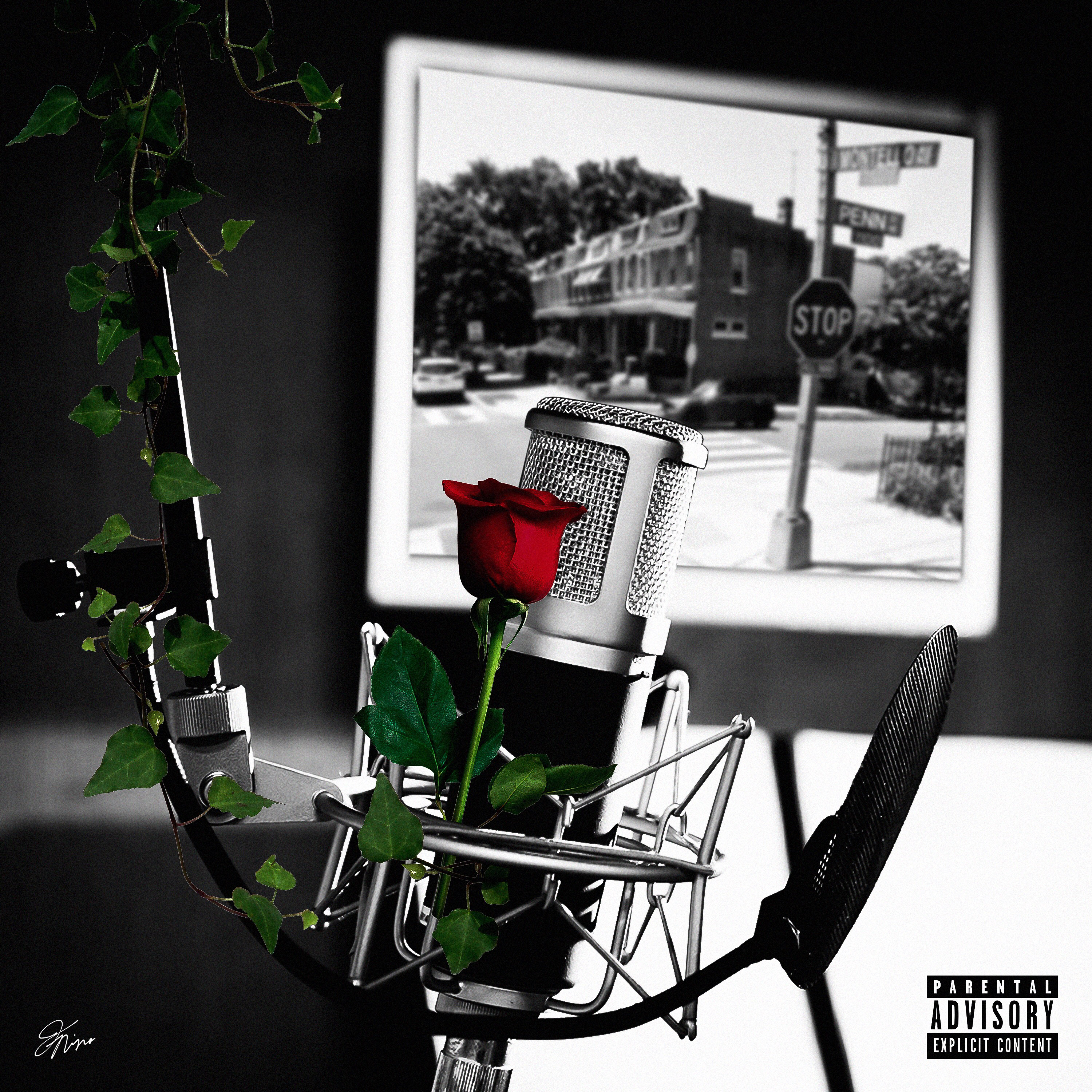 Voice Of The Youth II artwork