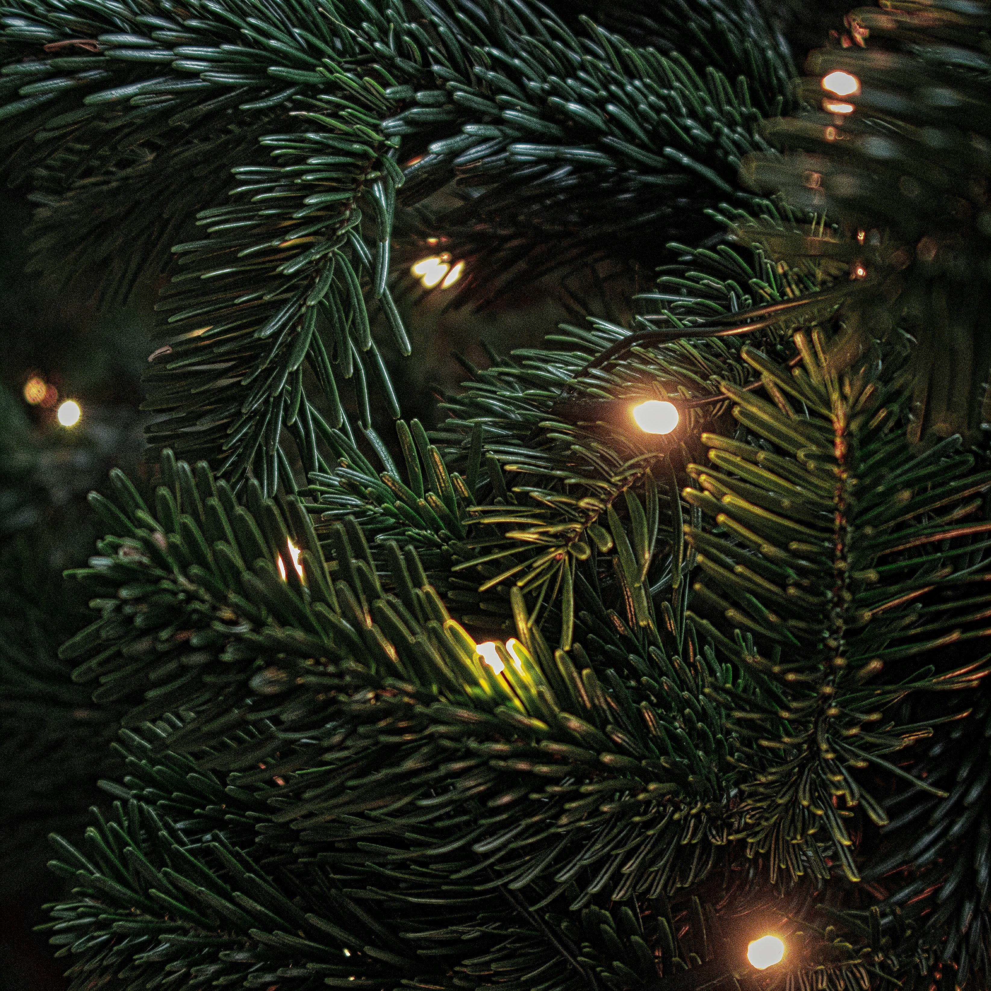 Christmas Pt.4 artwork