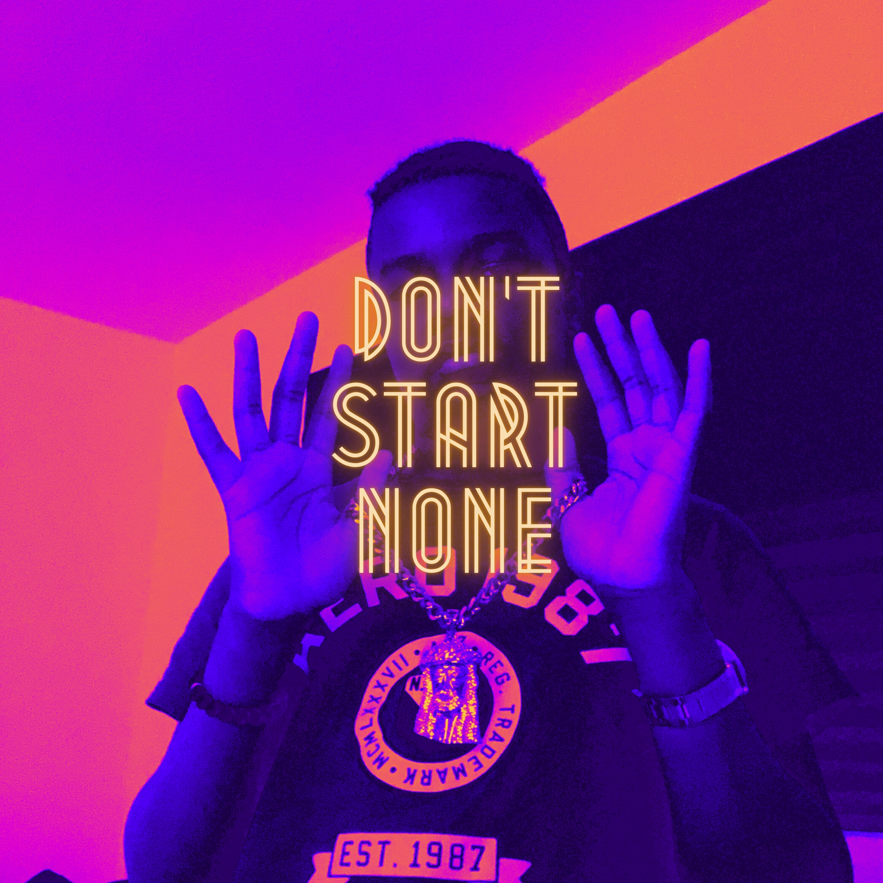 Don't Start None artwork