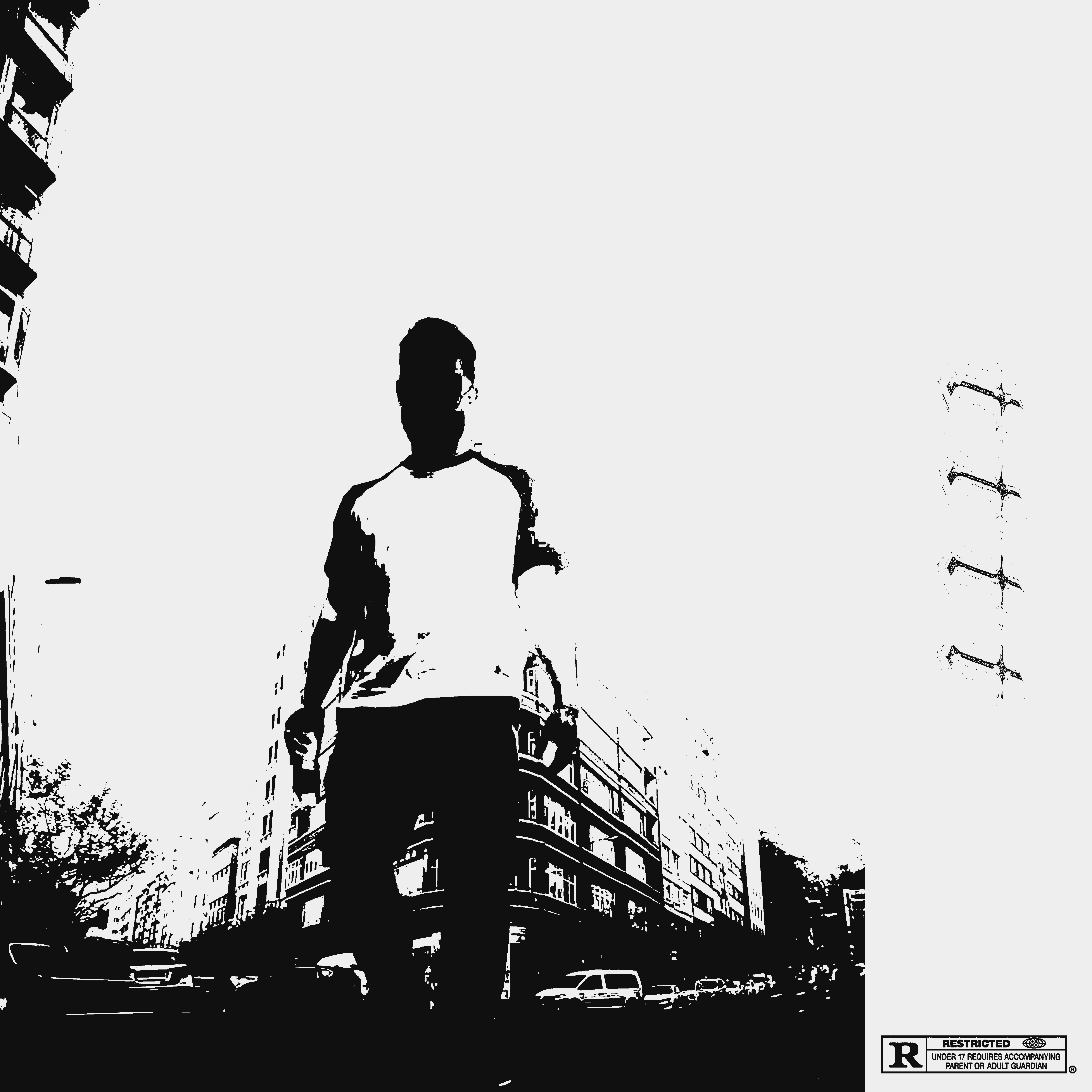 TRIP TO THE TOP by LIAM DOE cover art