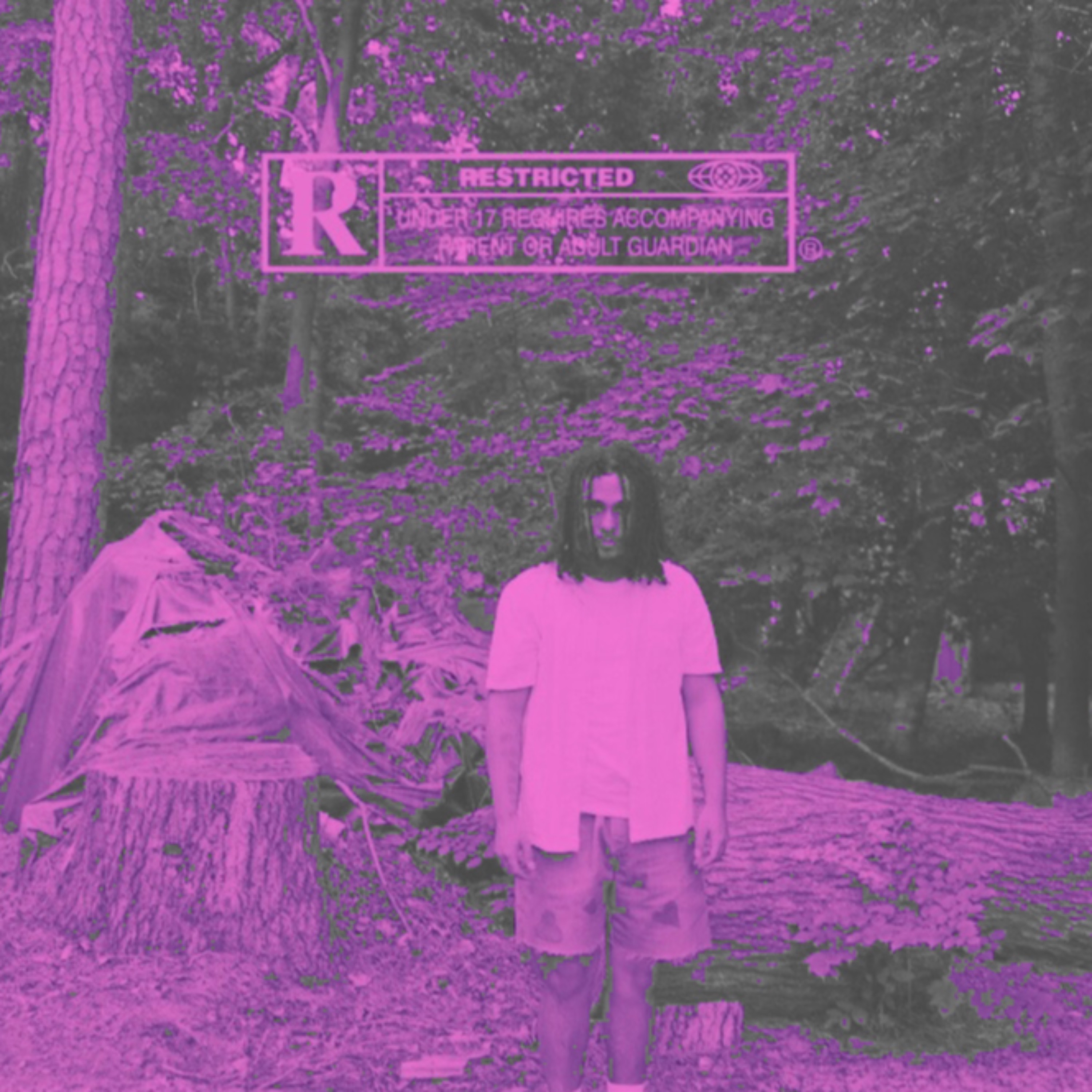 Z&N (Bonus Tracks) artwork