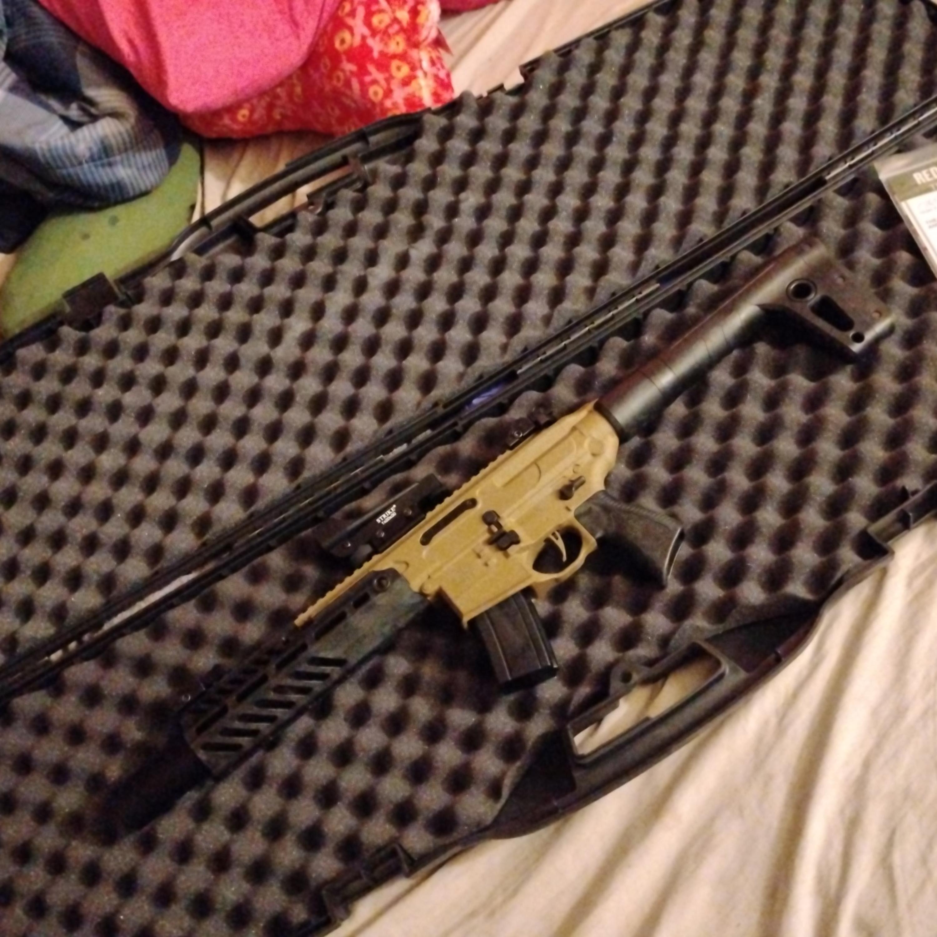 fuck the government artwork