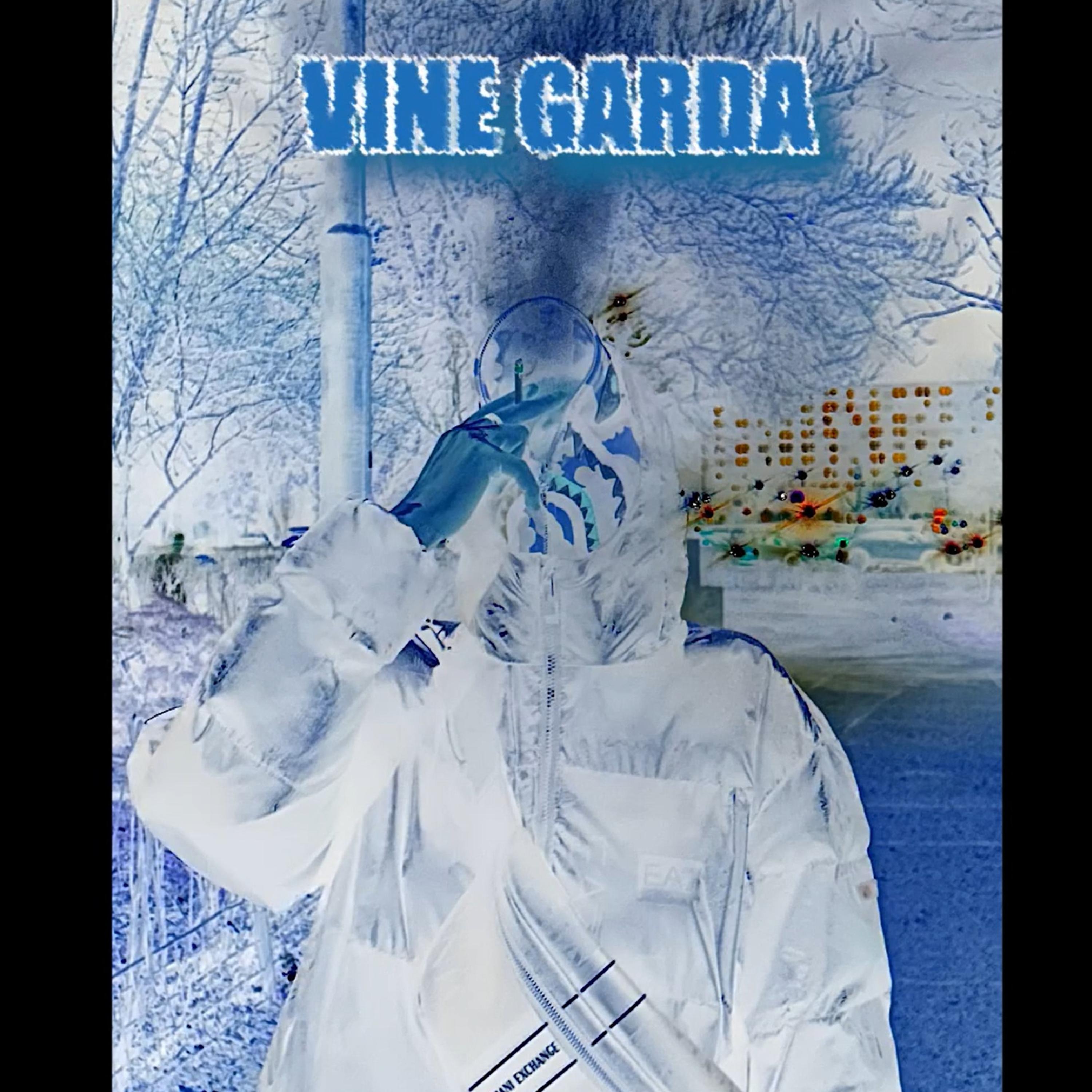 VINE GARDA artwork
